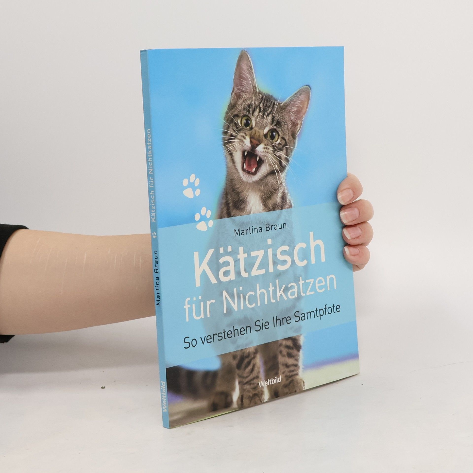 Kätzisch für Nichtkatzen