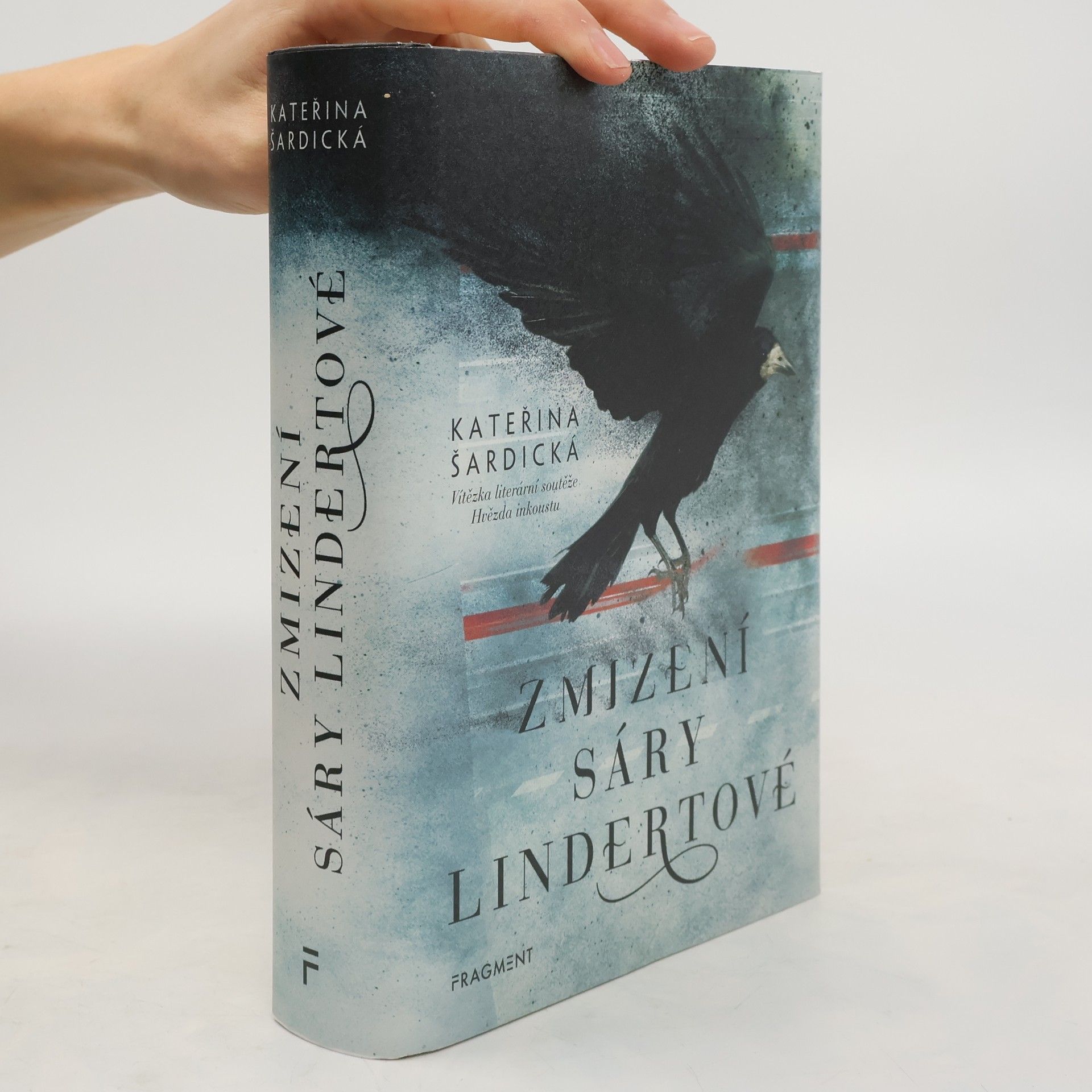 Zmizení Sáry Lindertové