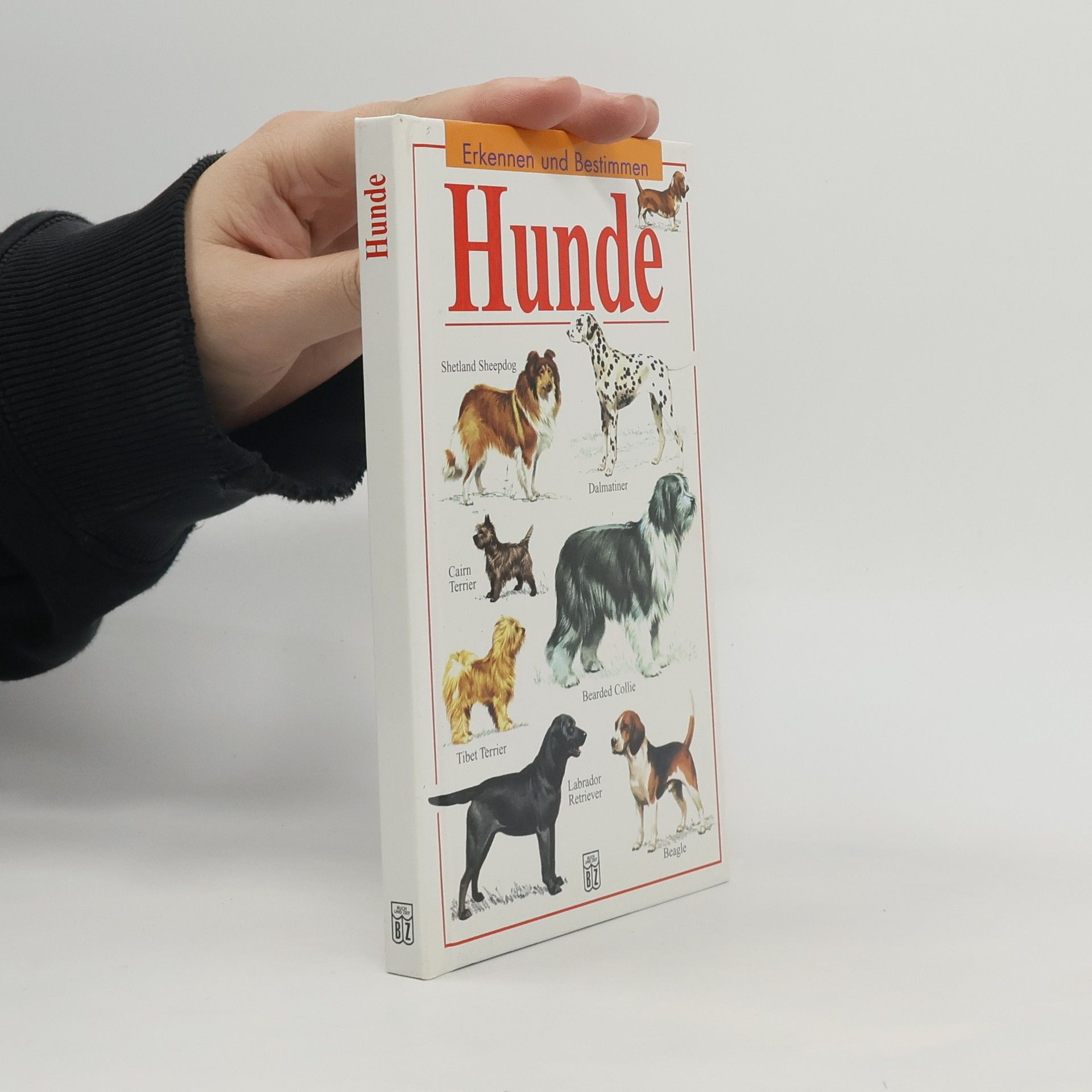 Autores varios Hunde