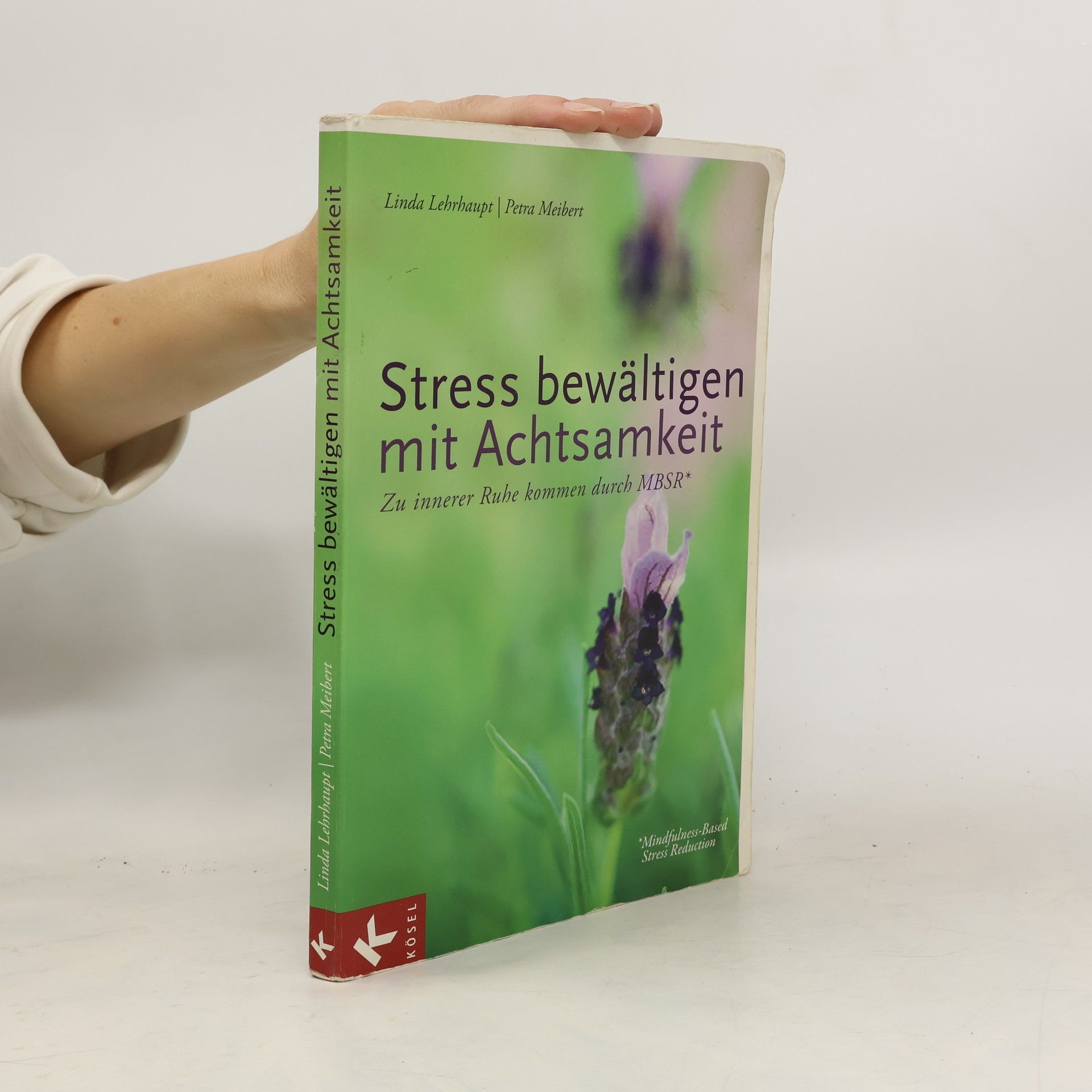 Linda Lehrhaupt Stress bewältigen mit Achtsamkeit. Zu innerer Ruhe kommen durch MBSR* - *Mindfulness-Based Stress Reduction