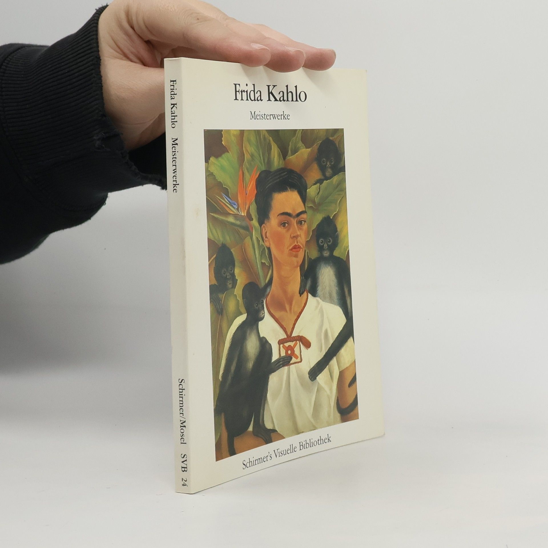 Frida Kahlo. Meisterwerke