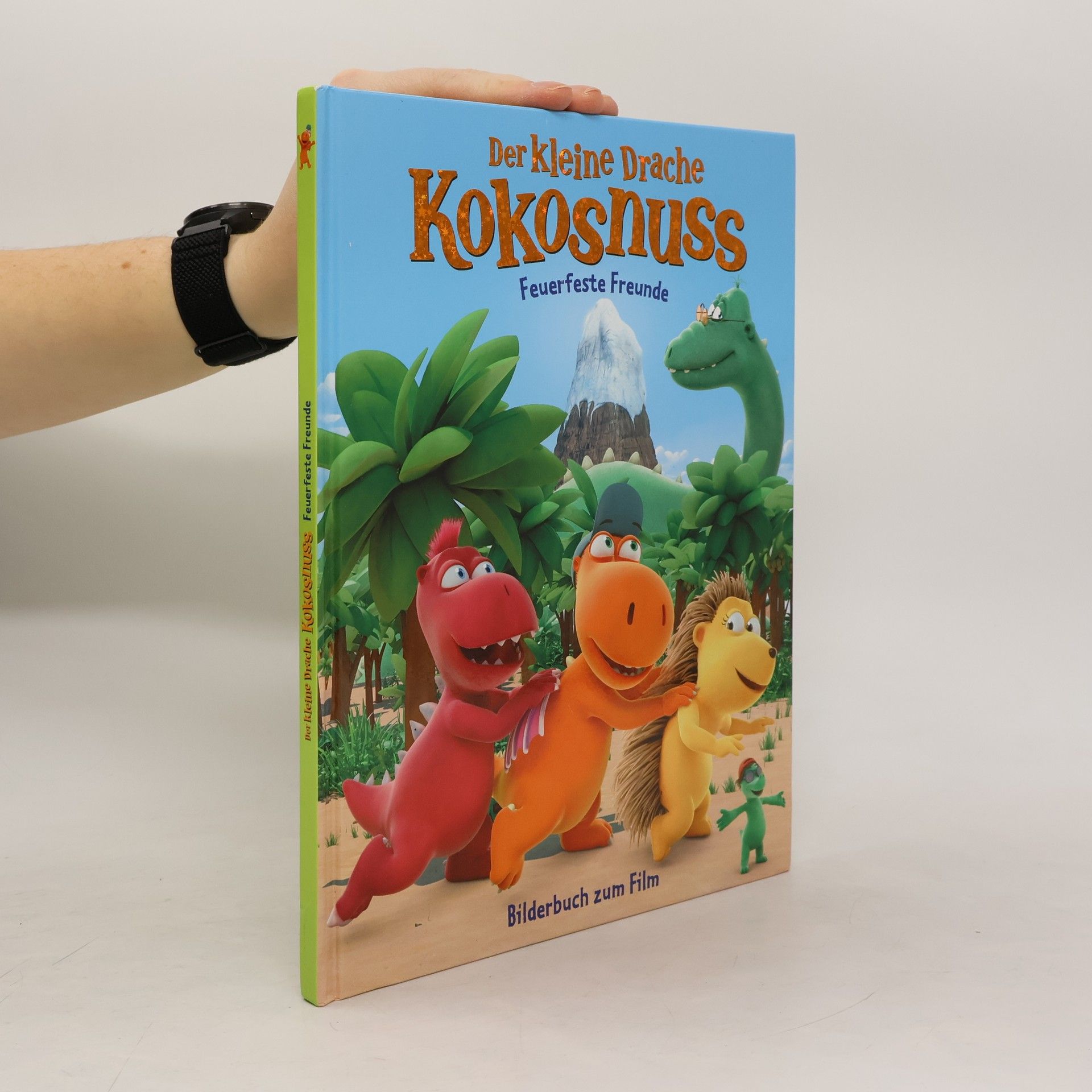 Ingo Seigner Der kleine Drache Kokosnuss. Feuerfeste Freunde