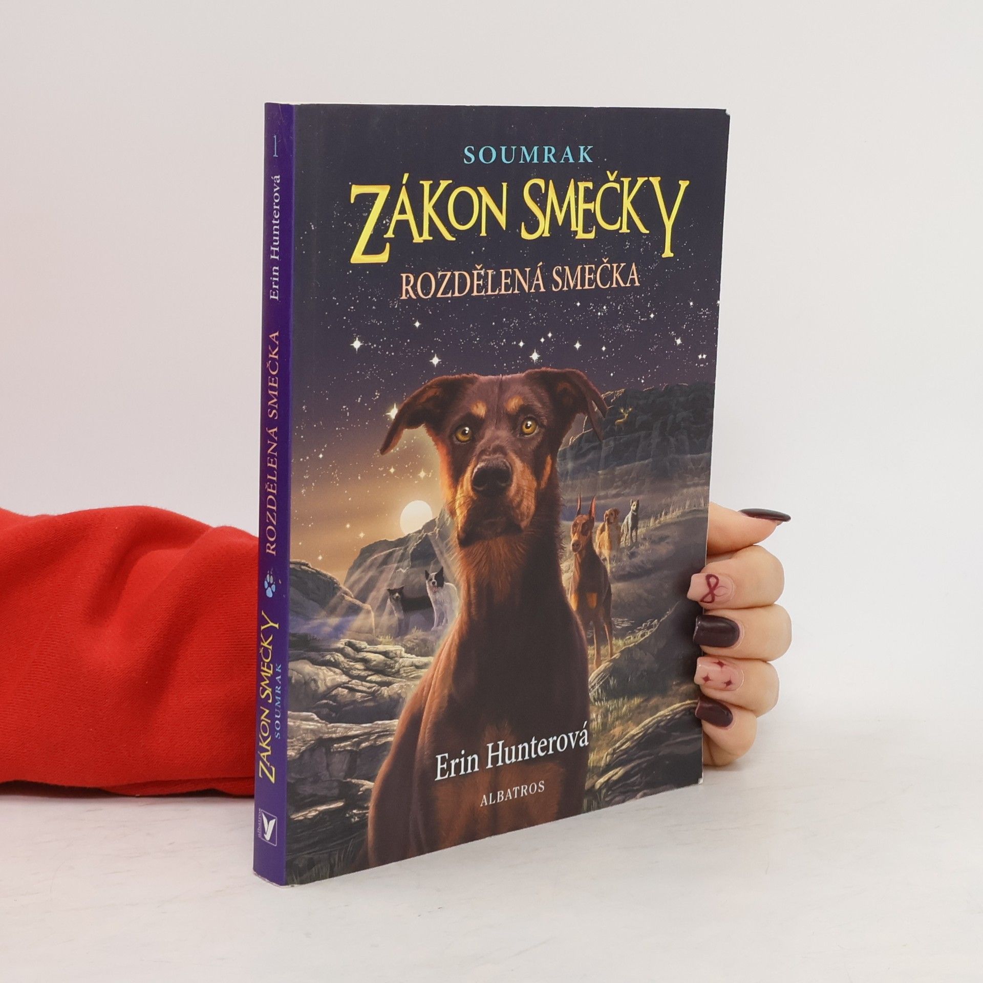 Erin Hunter Rozdělená smečka