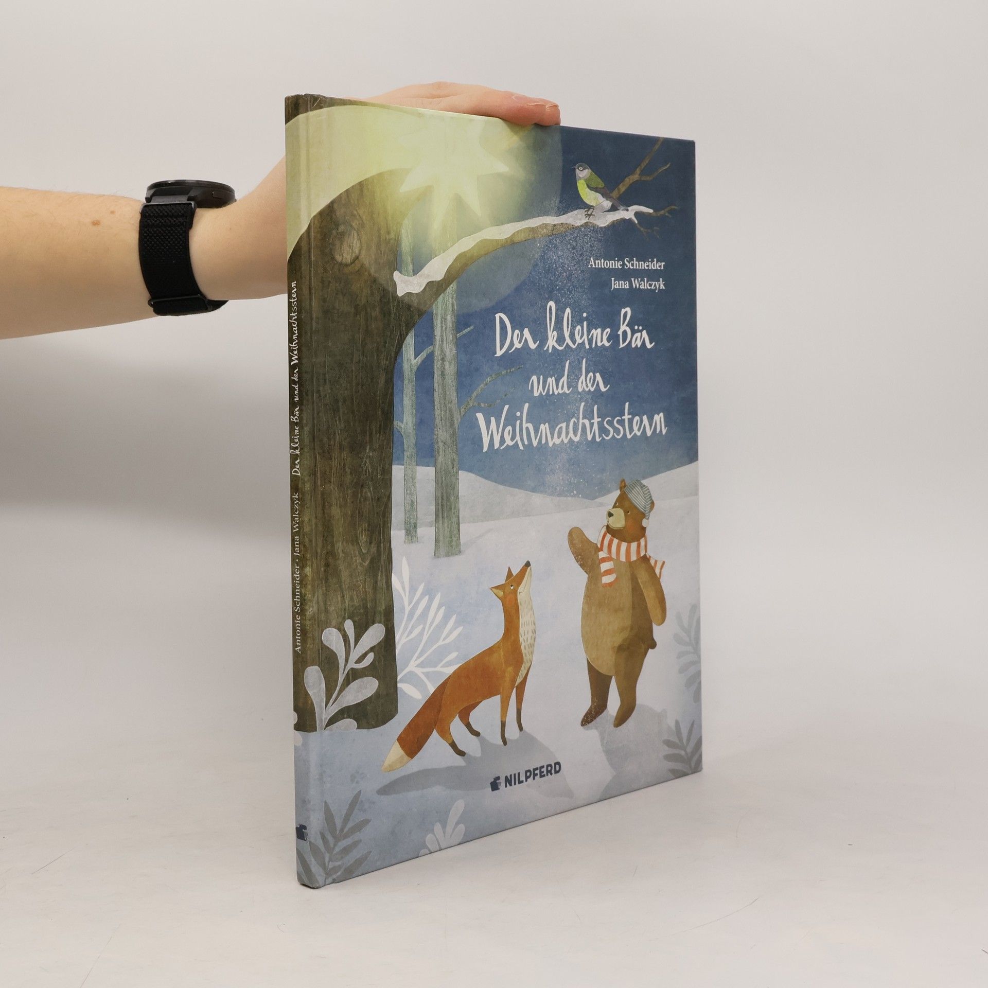 Antonie Schneider Der kleine Bär und der Weihnachtsstern