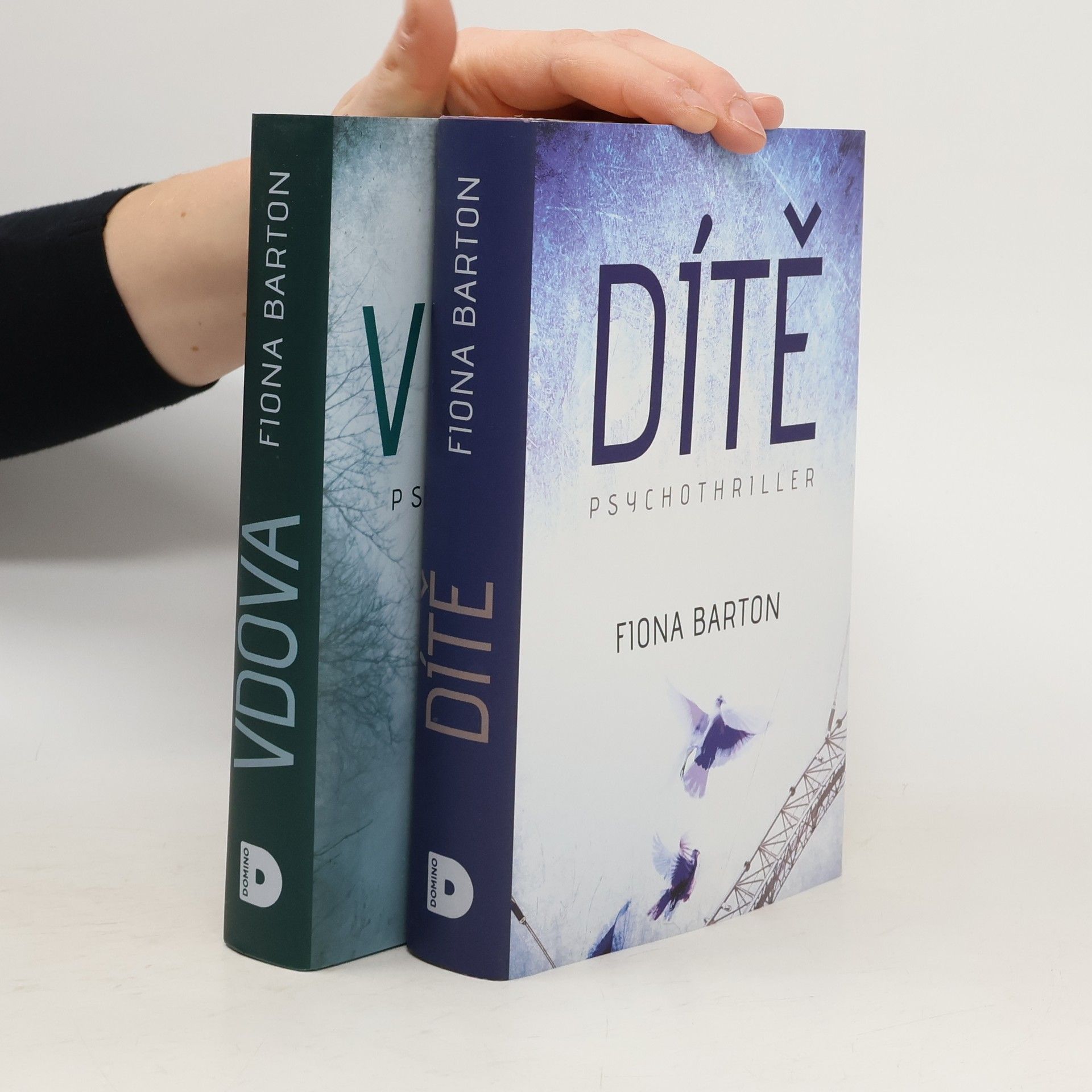 Fiona Barton Kate Waters 1-2