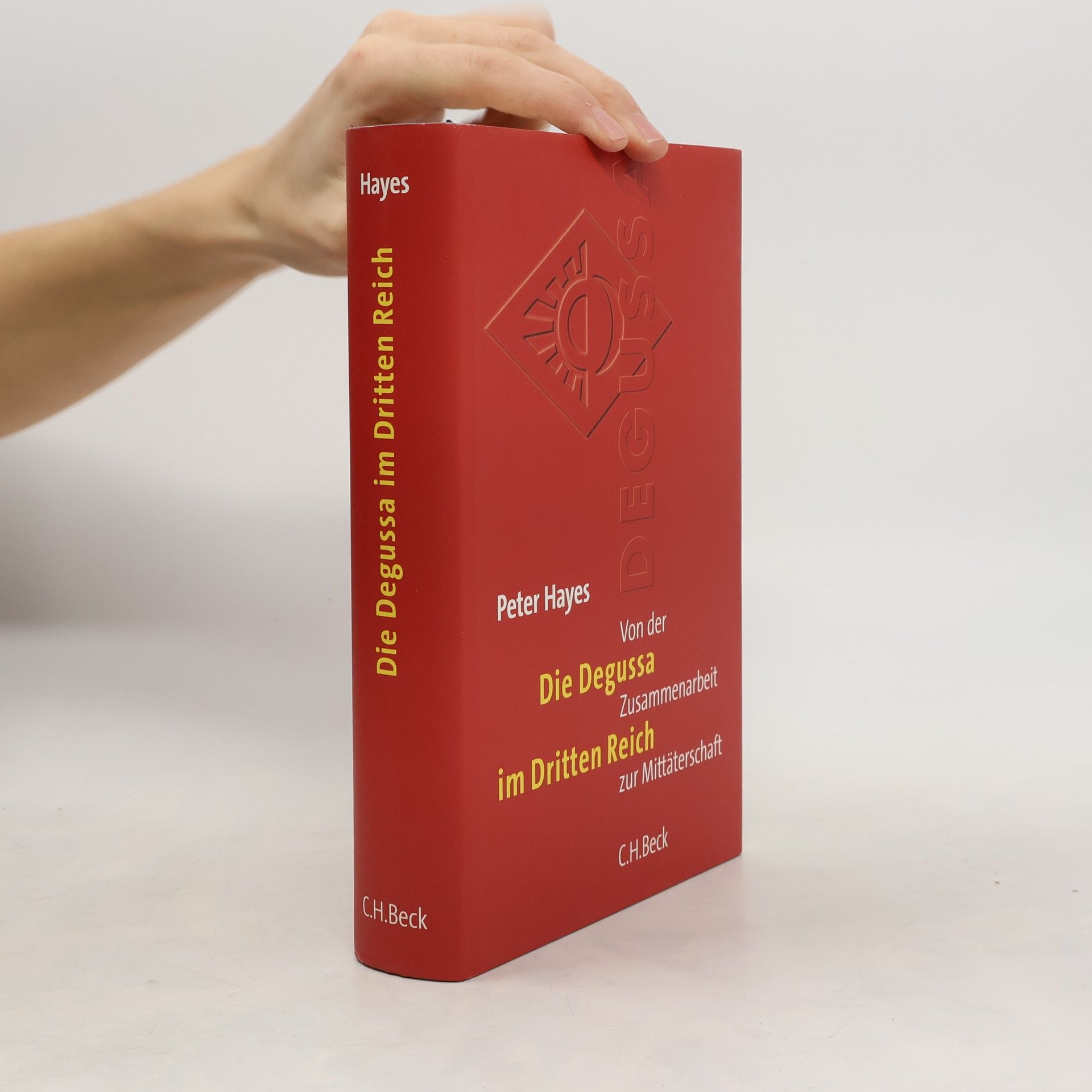 Peter Hayes Die Degussa im Dritten Reich