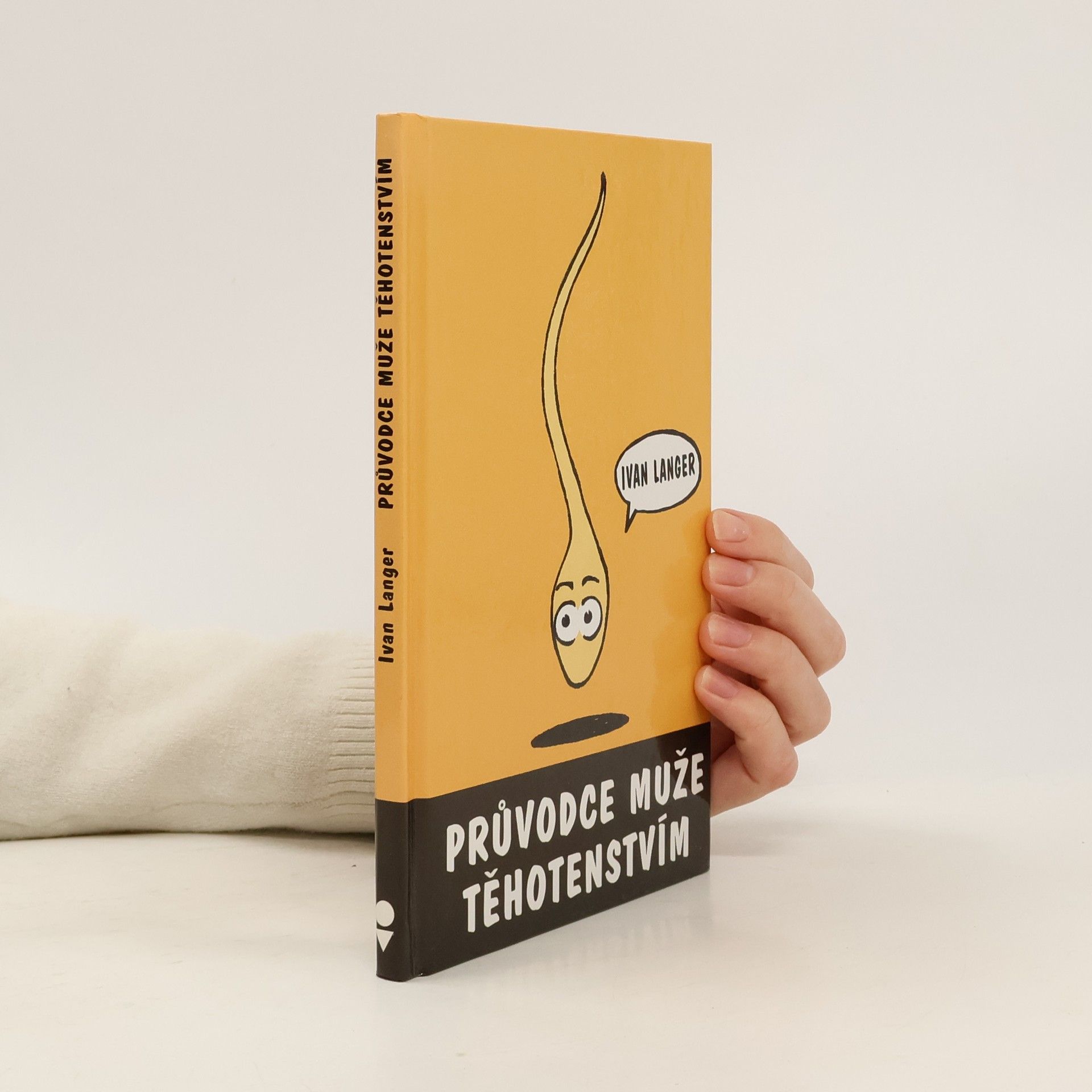 Průvodce muže těhotenstvím