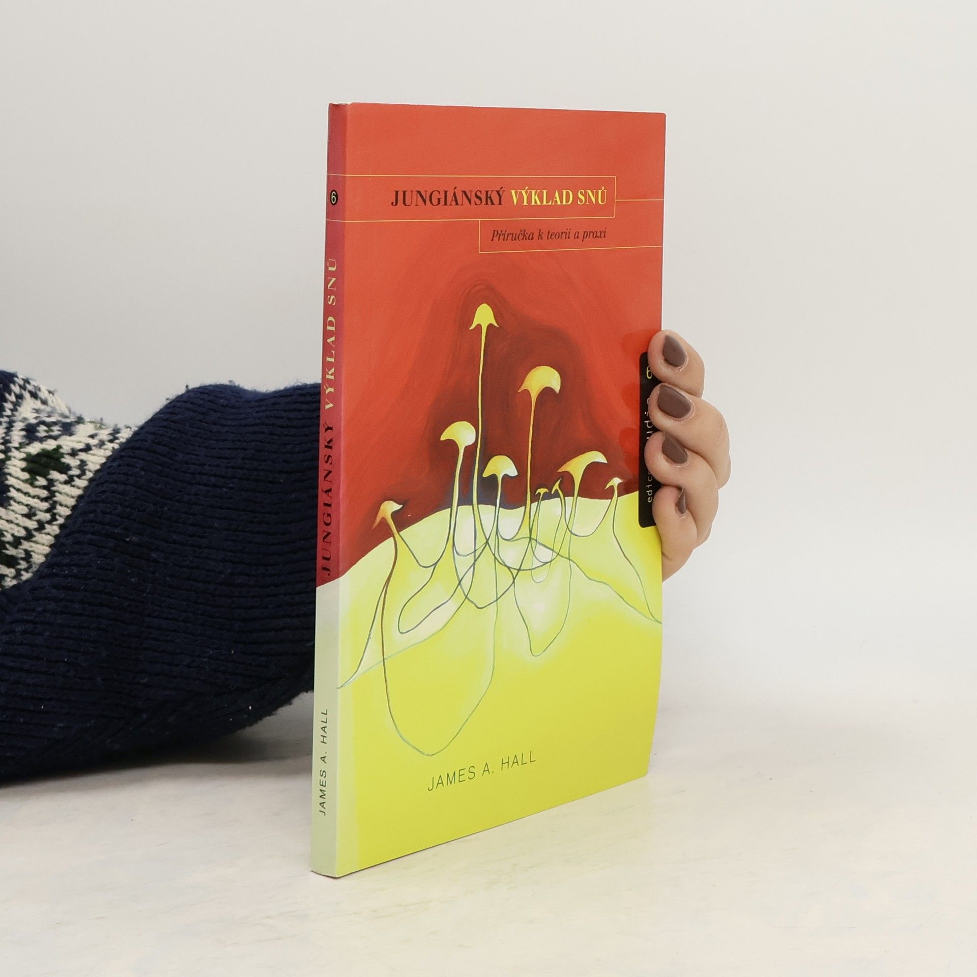 Jungiánský výklad snů