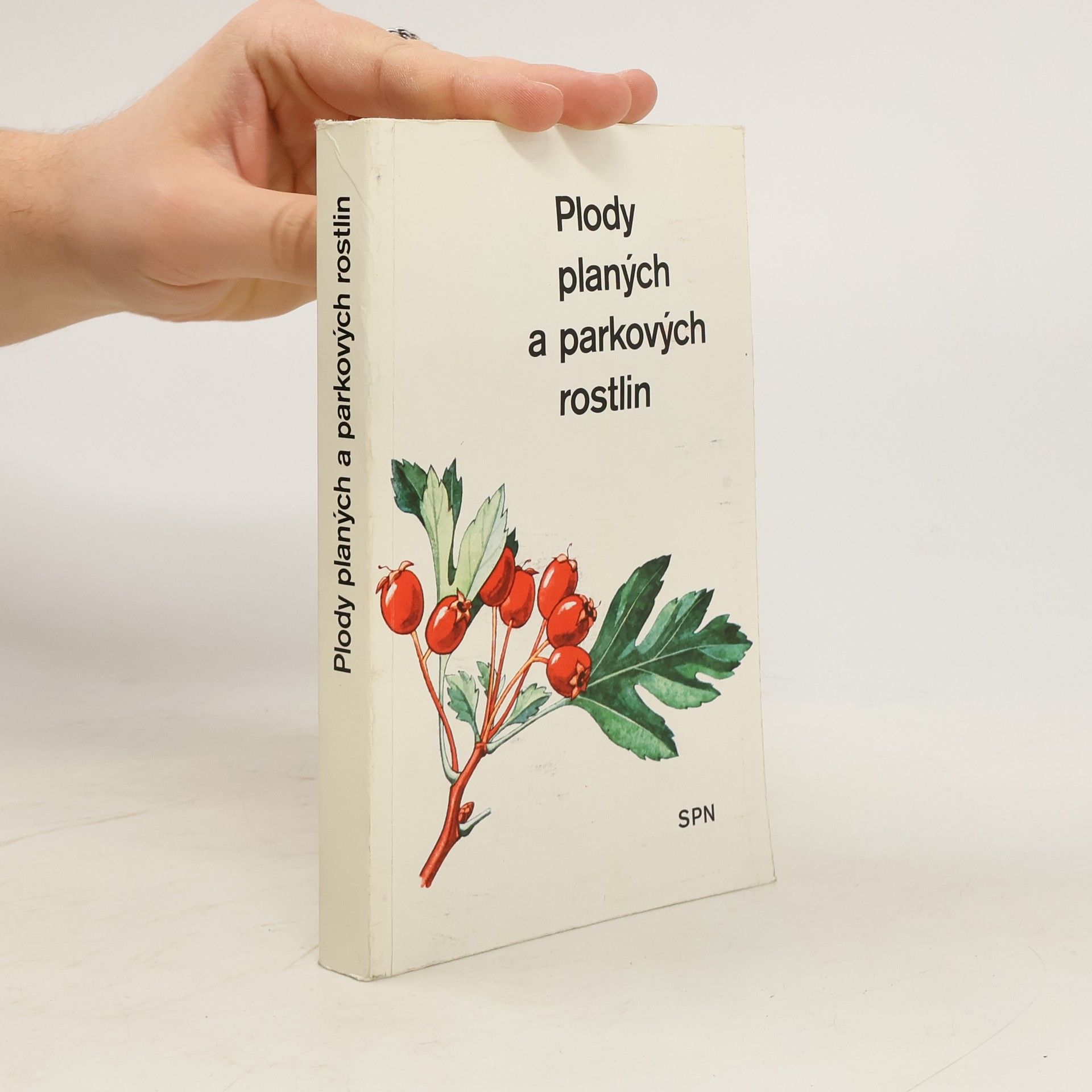 Plody planých a parkových rostlin : kapesní atlas : pomocná kniha pro biologické zájmové kroužky na školách, v Domech pionýrů a