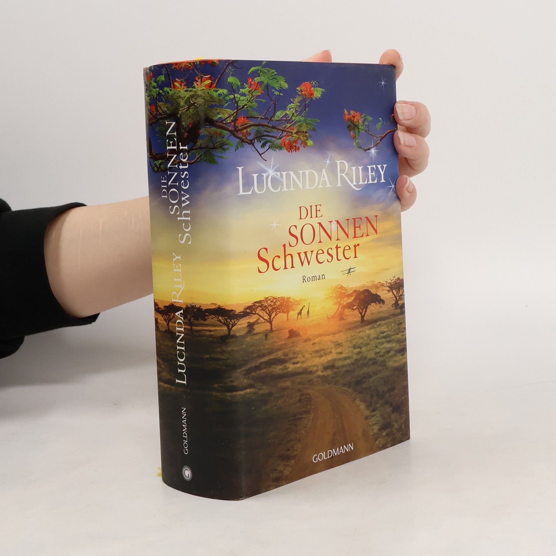 Lucinda Riley Die Sonnenschwester