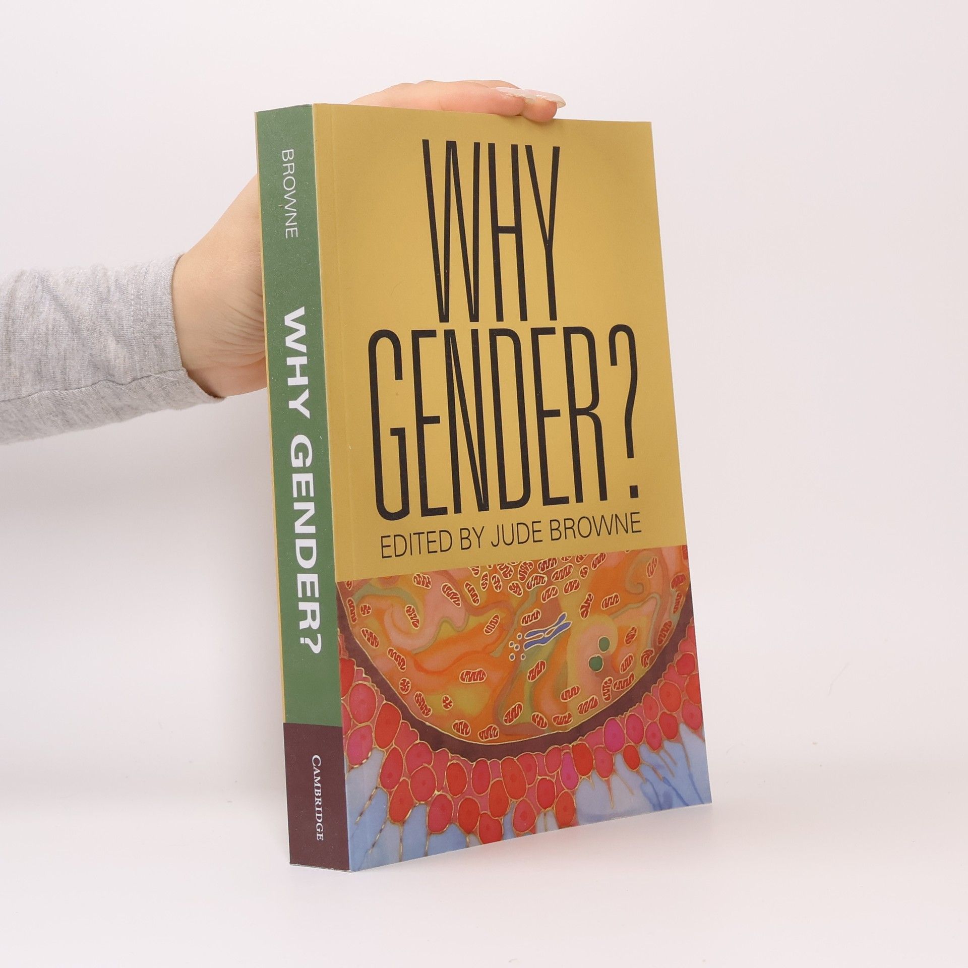 Autorenkollektiv Why Gender?