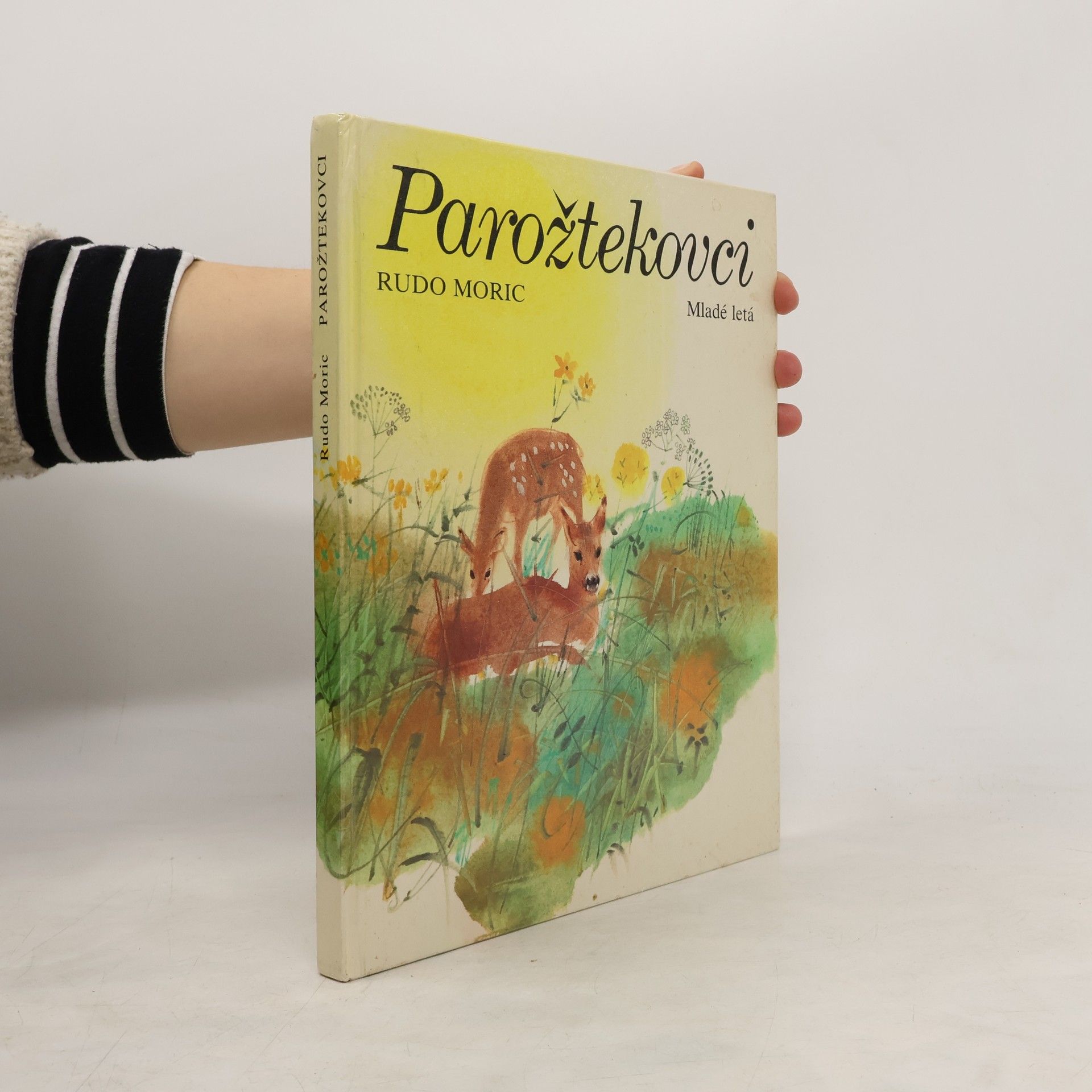 Rudo Moric Parožtekovci