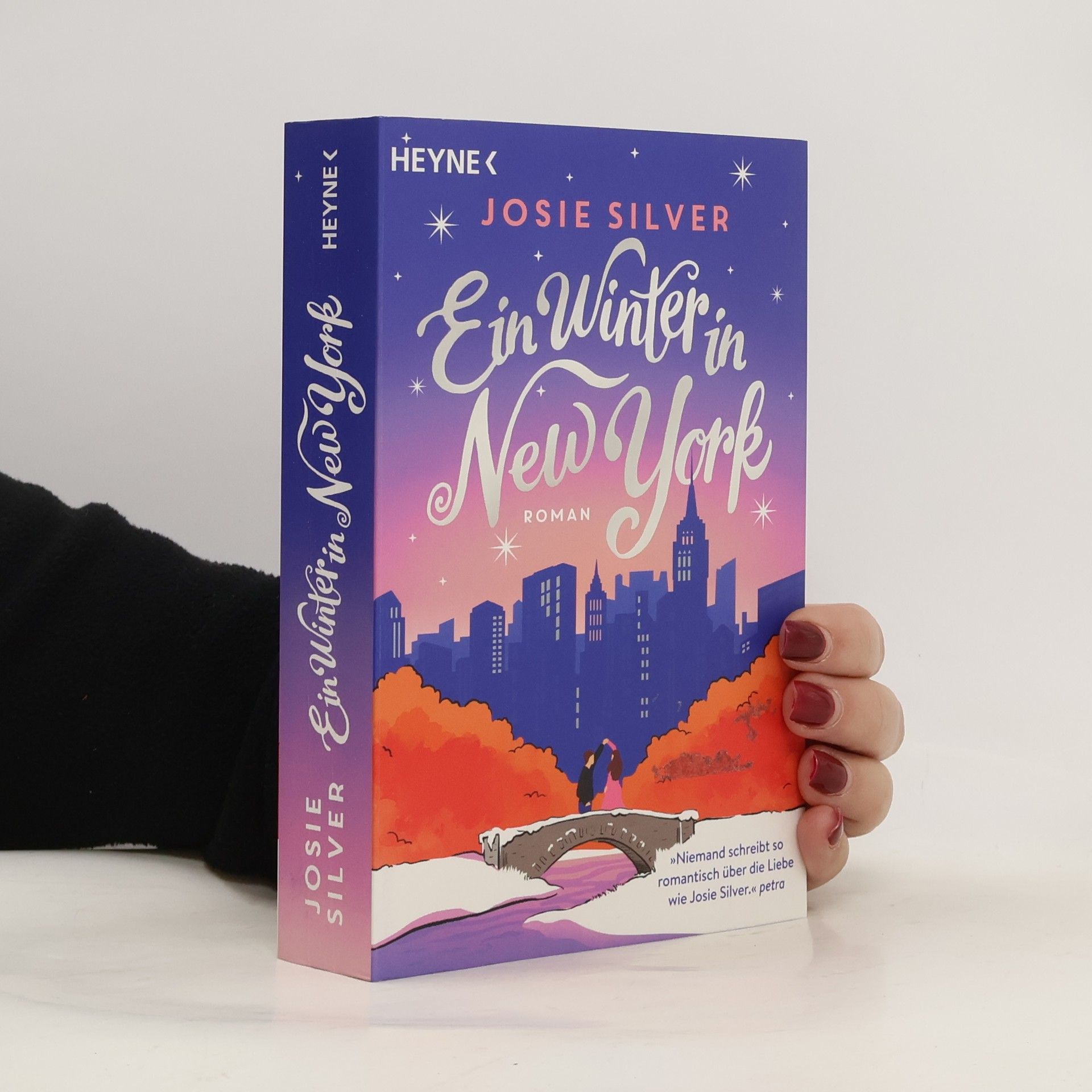 Ein Winter in New York