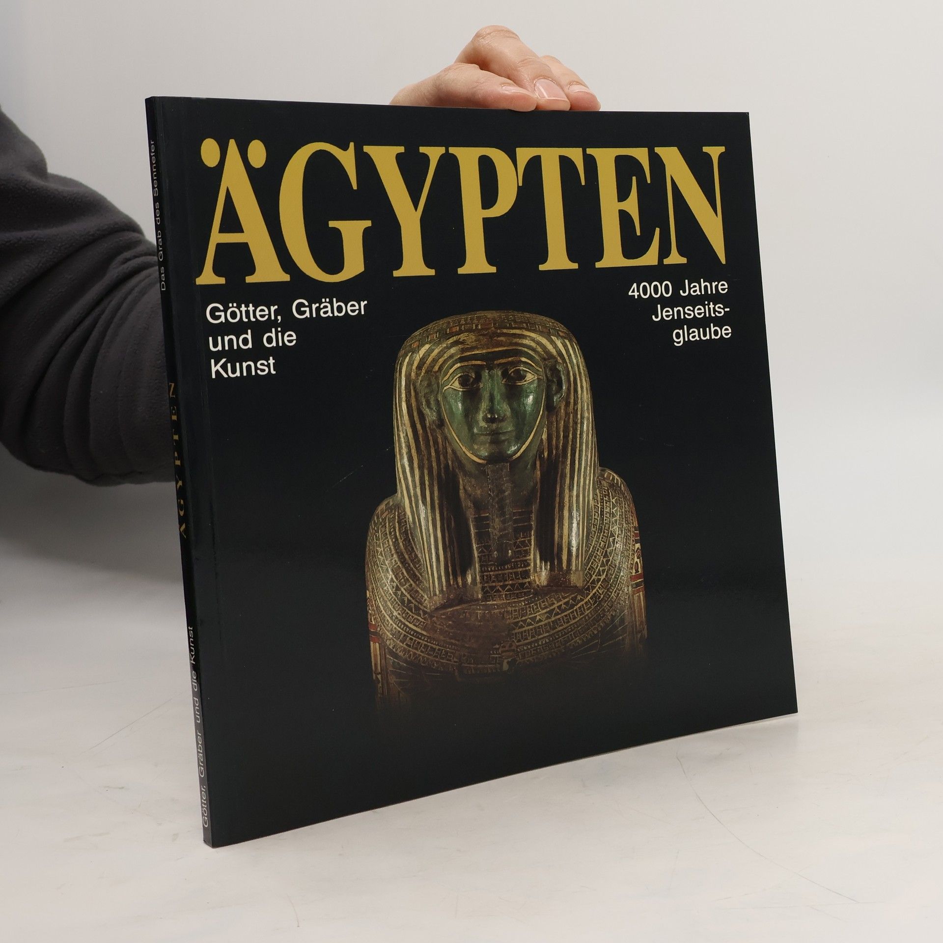 Wilfried Seipel Ägypten. Götter, Gräber und die Kunst. Band 2