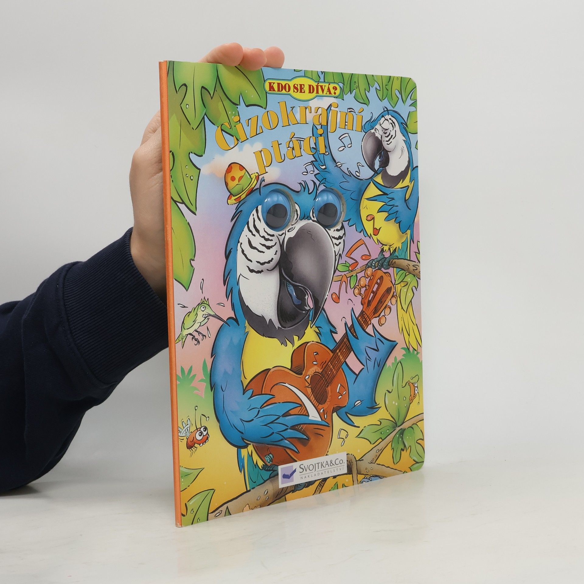 Catherine Solyom Cizokrajní ptáci