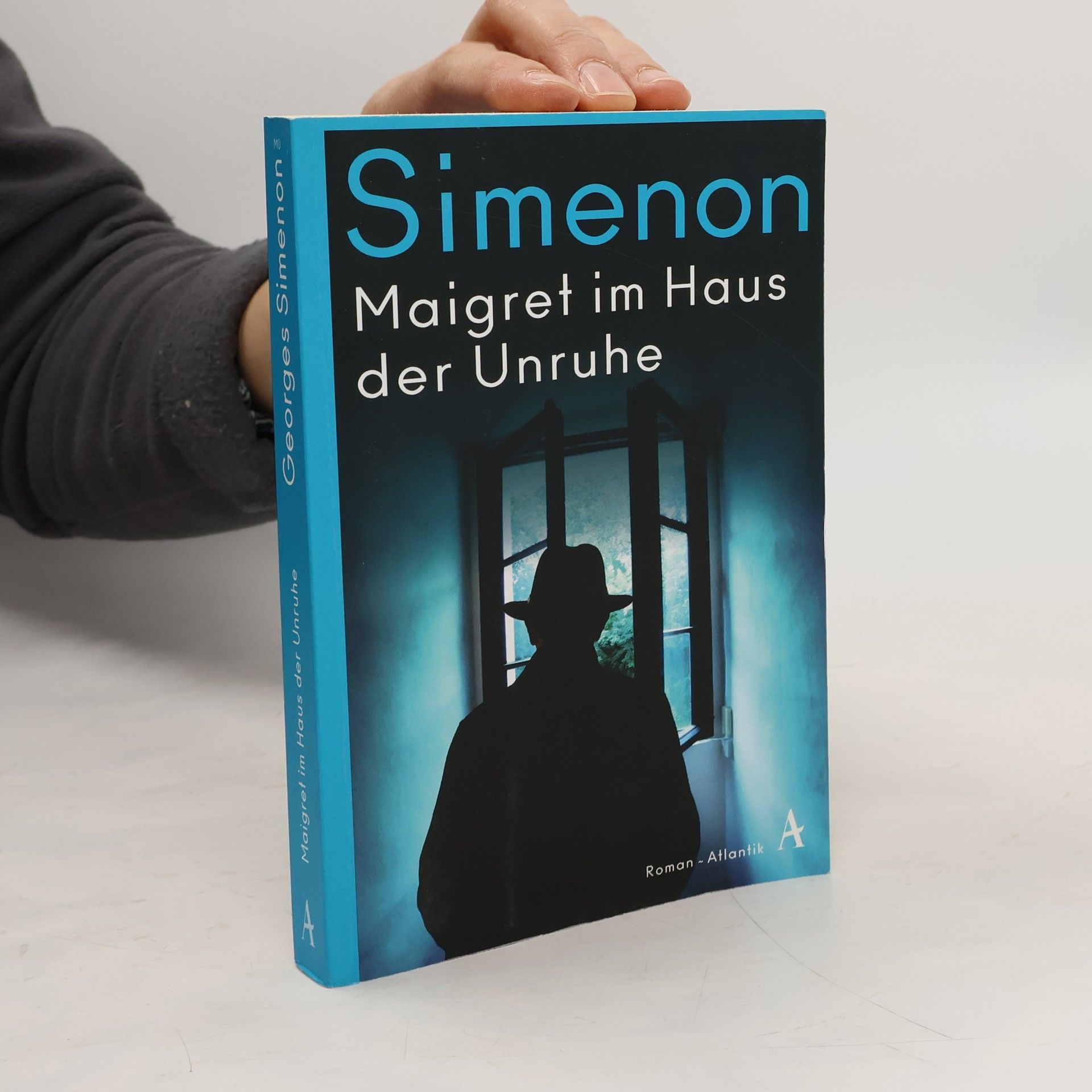 Georges Simenon Maigret im Haus der Unruhe. Roman