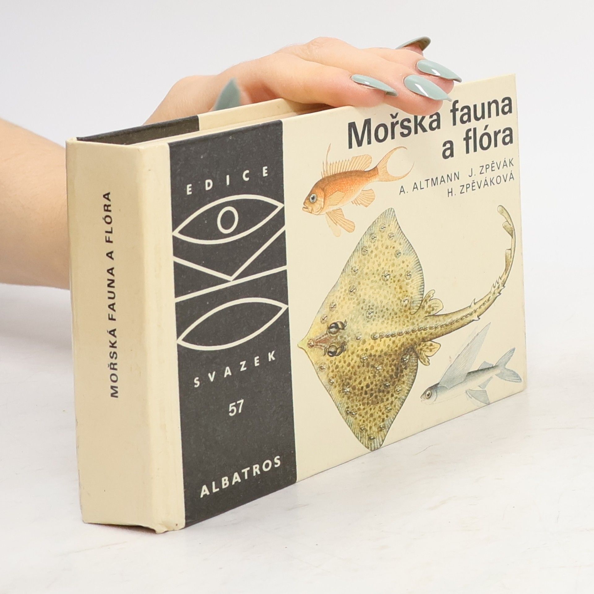 Antonín Altmann Mořská fauna a flóra