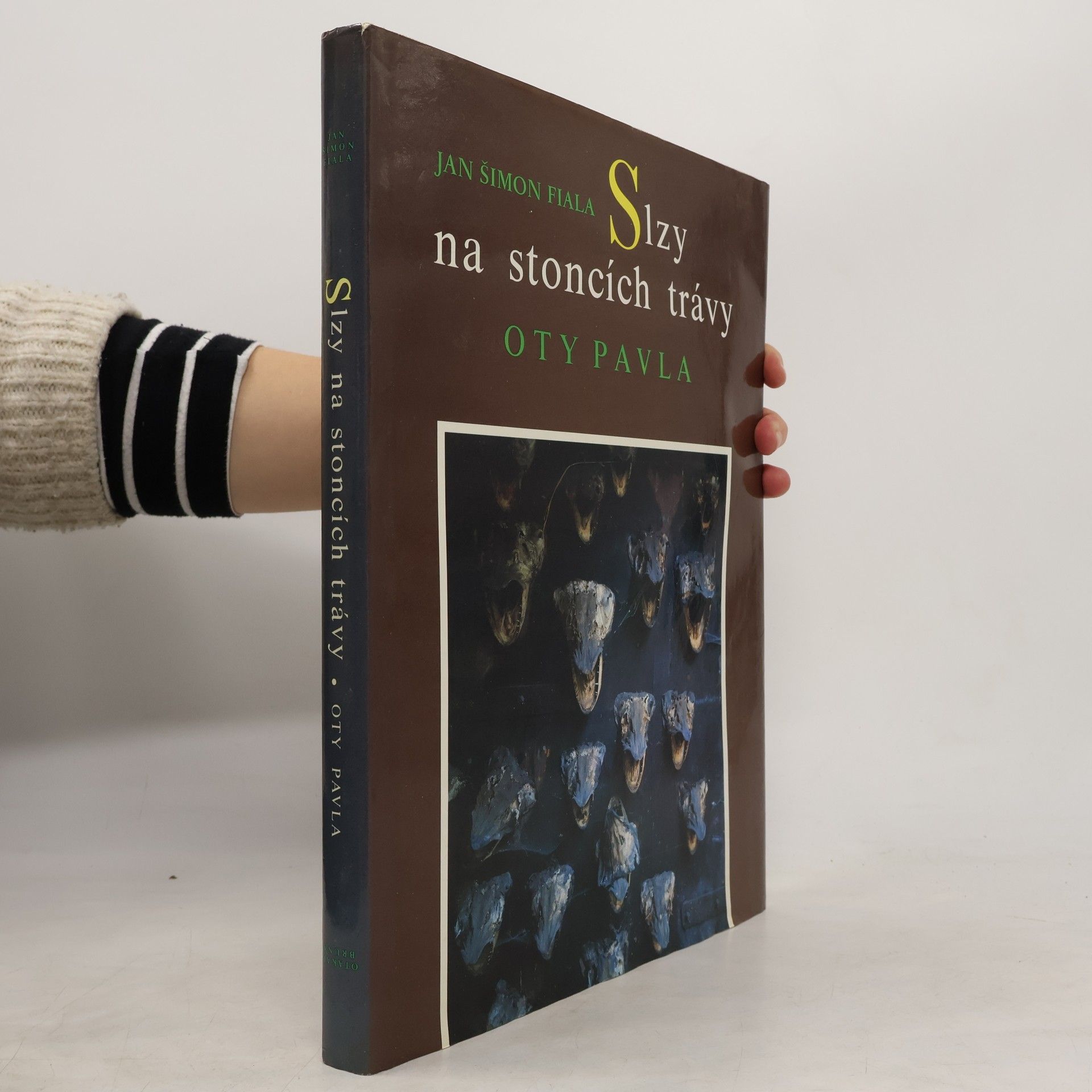 Slzy na stoncích trávy Oty Pavla