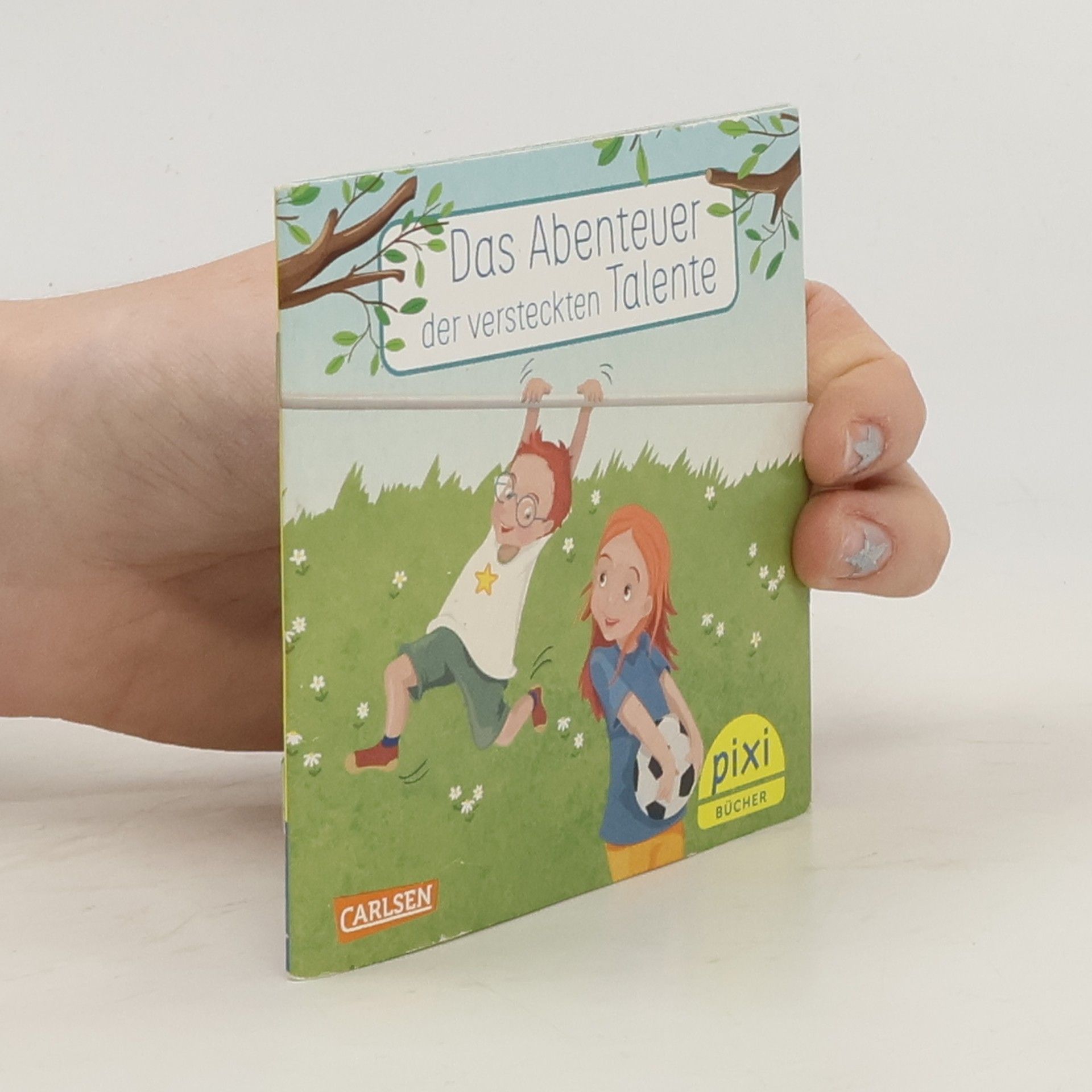 AA.VV. Das Abenteuer der versteckten Talente