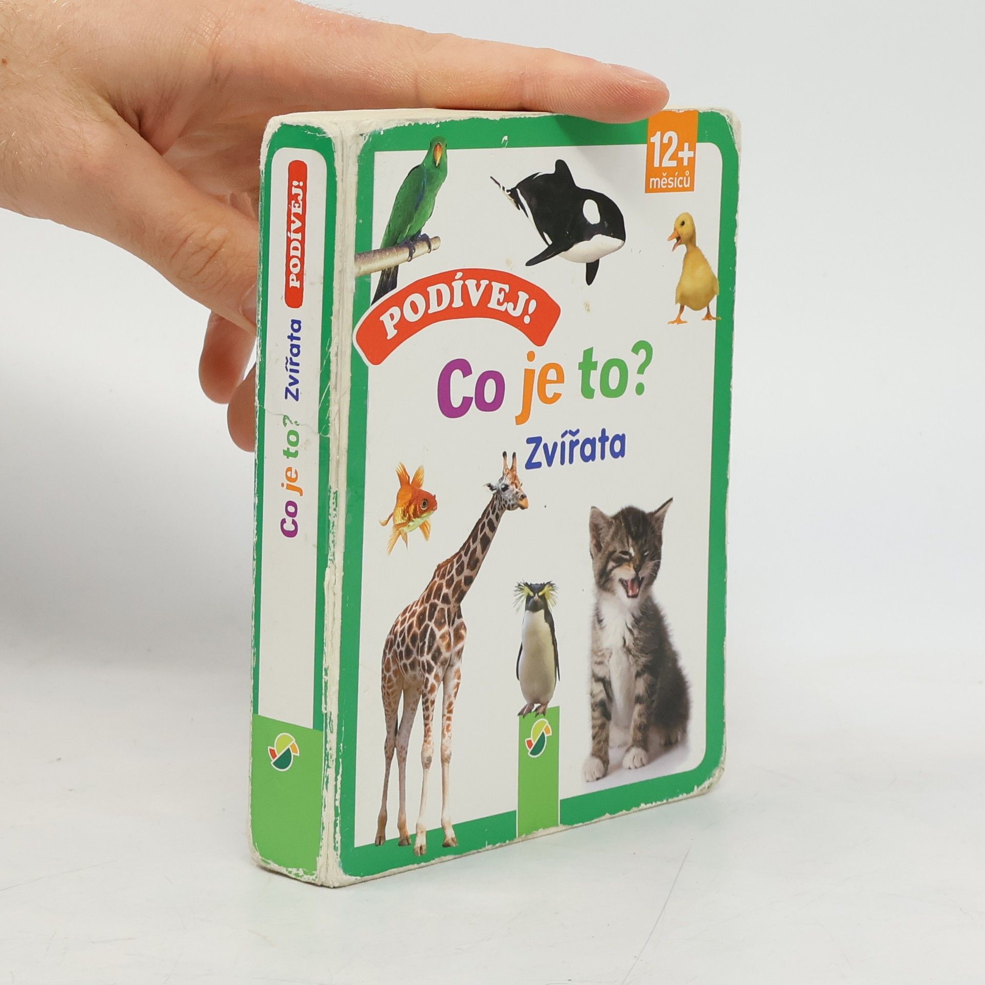 Kolektív autorov Podívej! Co je to? - Zvířata