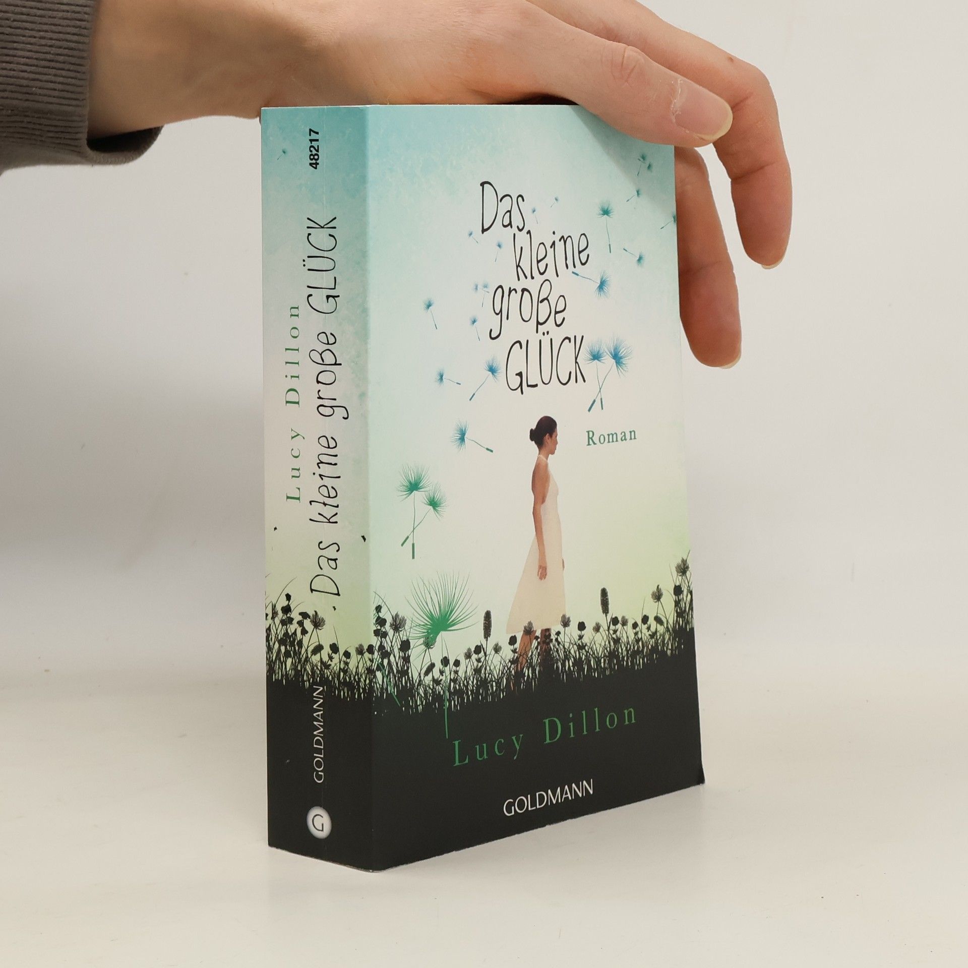 Lucy Dillon Das kleine große Glück