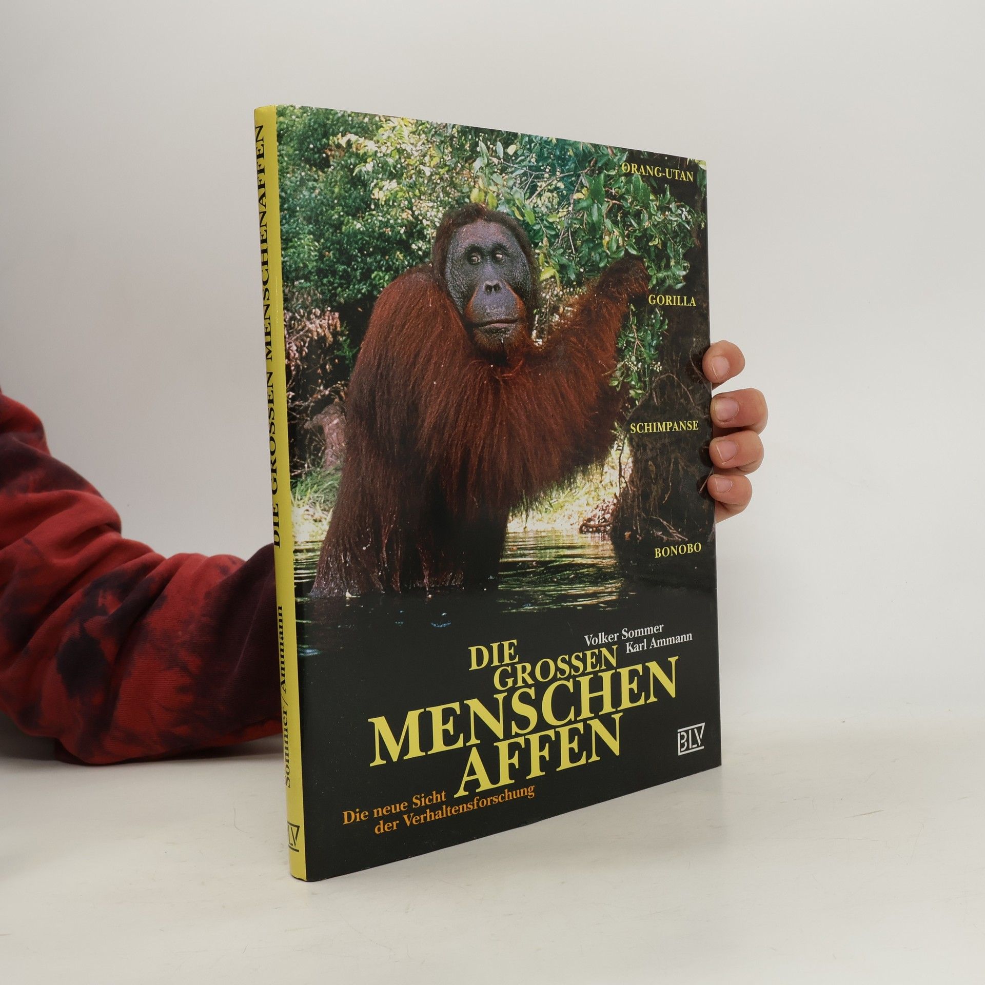 Volker Sommer Die großen Menschenaffen