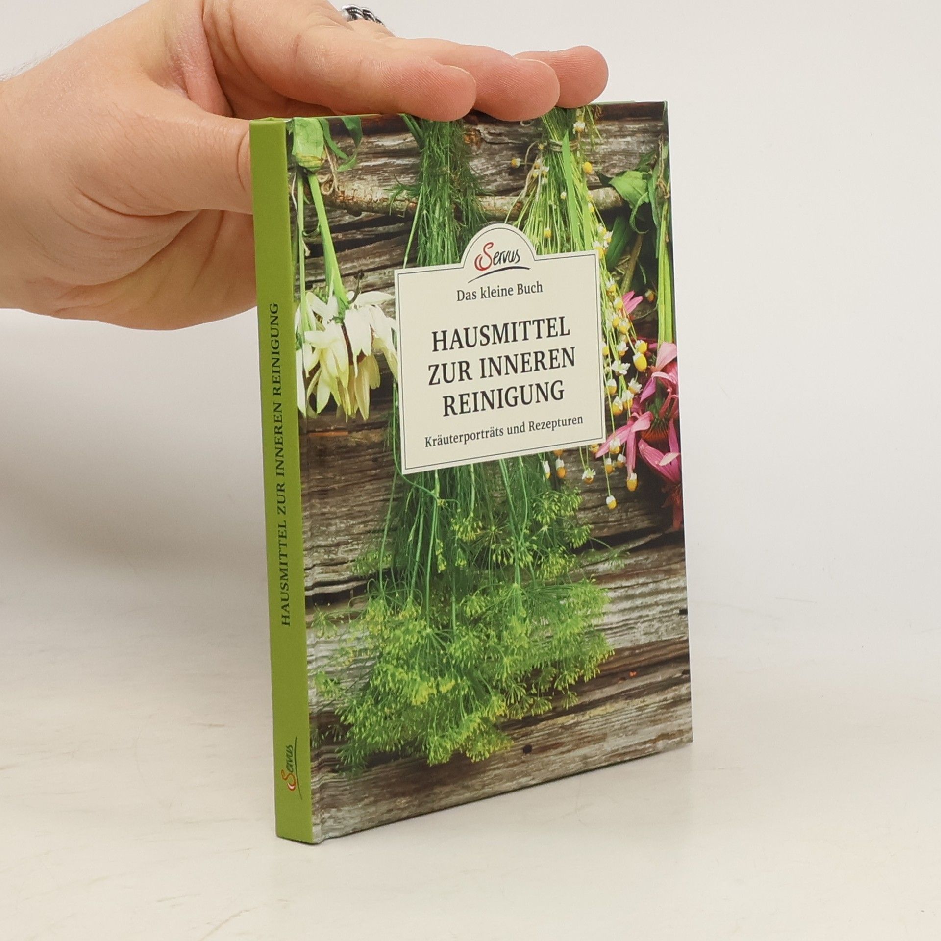 Nina Kienreich Hausmittel zur inneren Reinigung