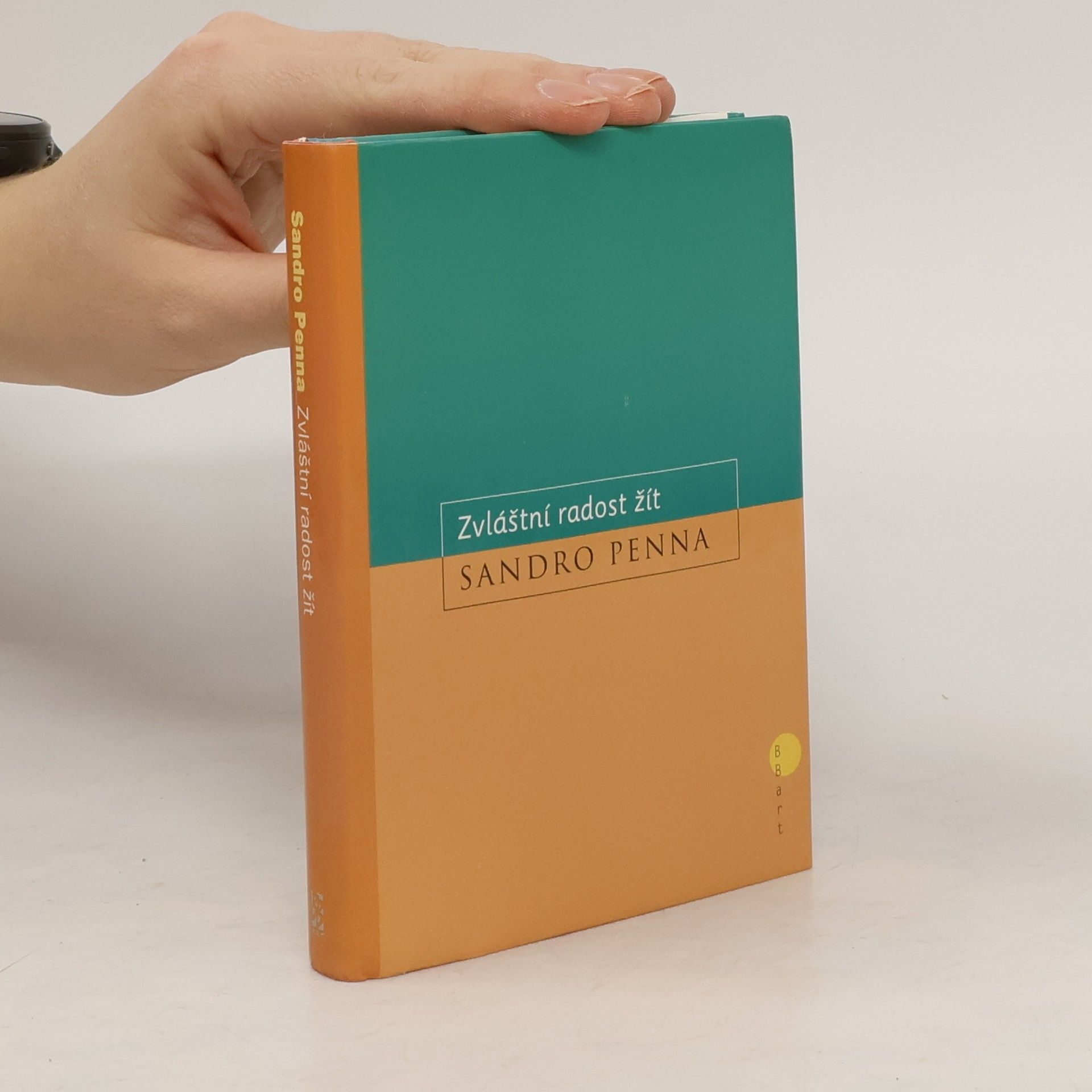 Sandro Penna Zvláští radost žít