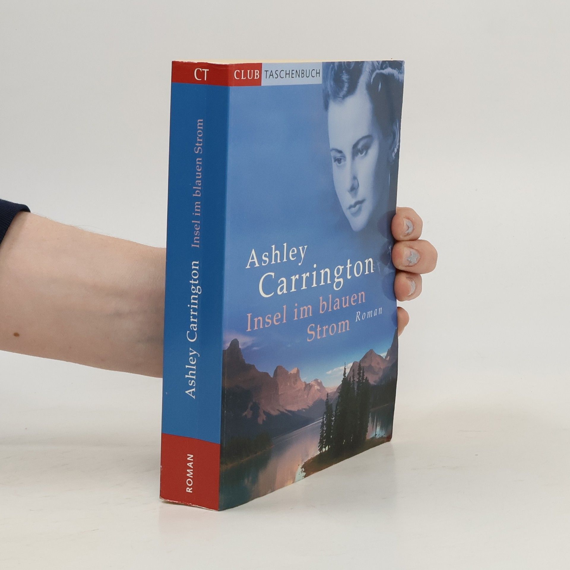 Rainer M. Schröder Insel im blauen Strom