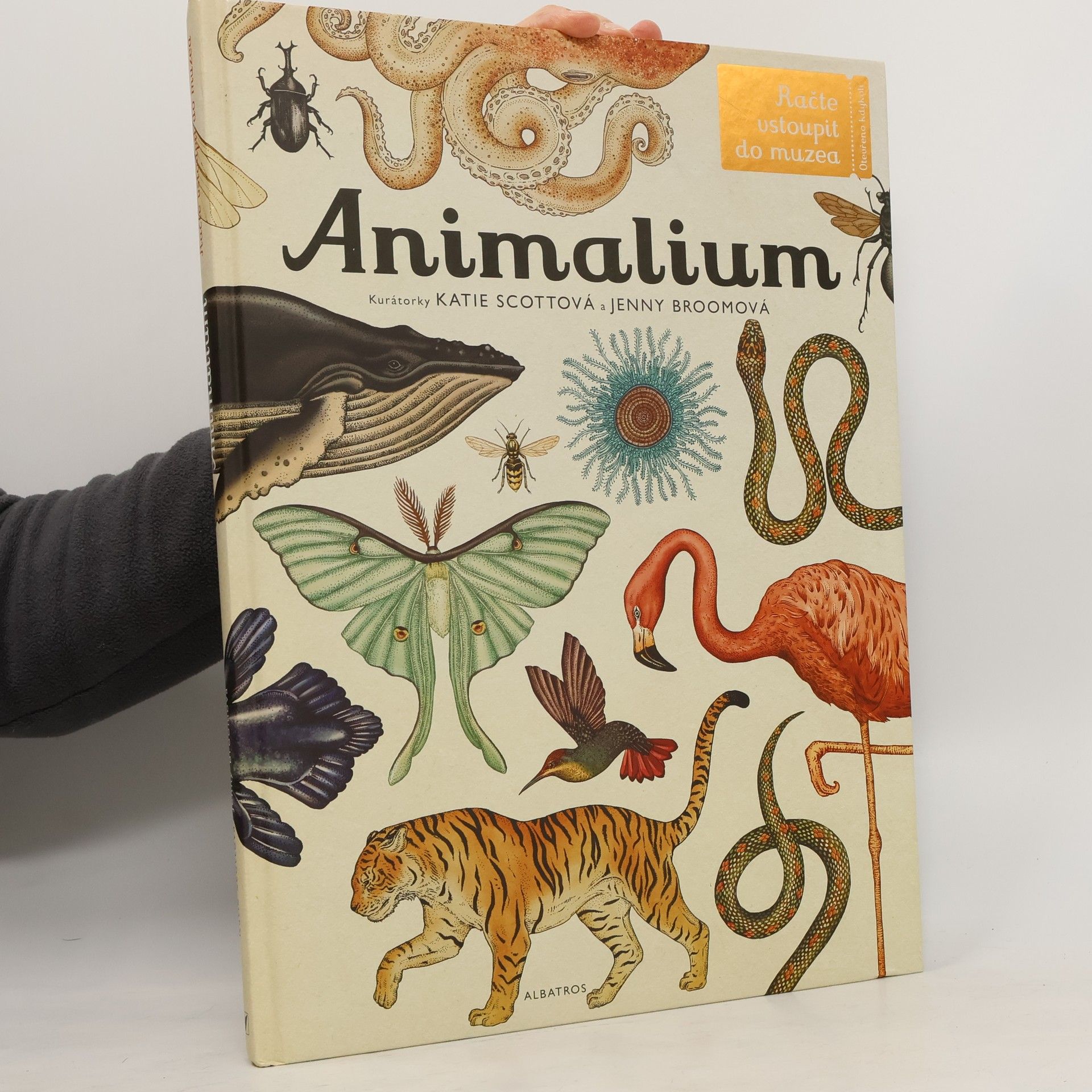 Katie Scott Animalium