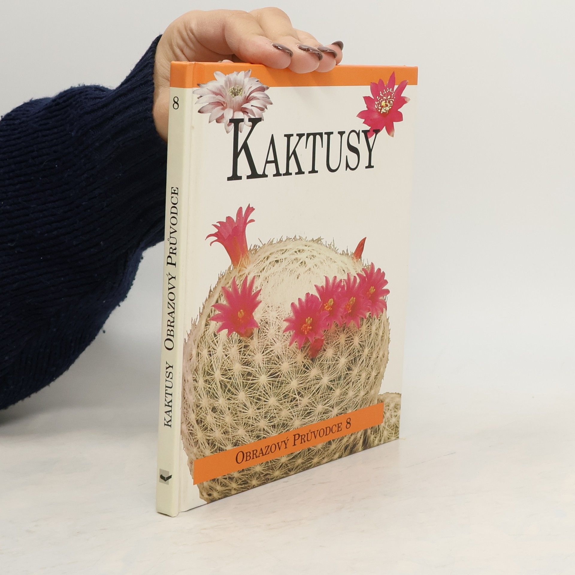 Lukáš Fischer Kaktusy