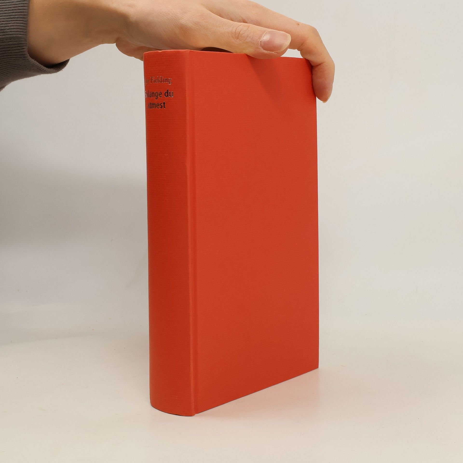 Joy Fielding Solange du atmest