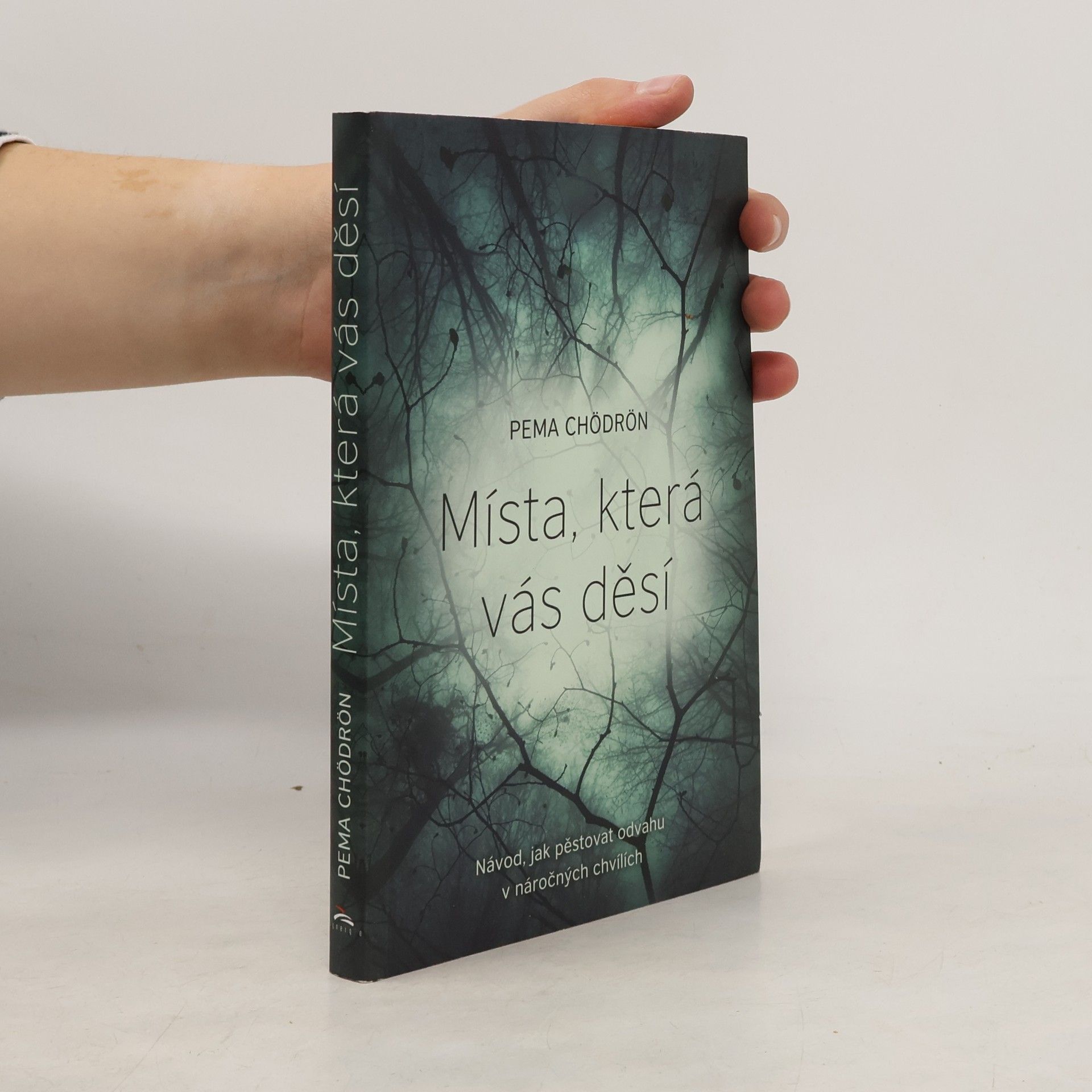 Pema Chödrön Místa, která vás děsí