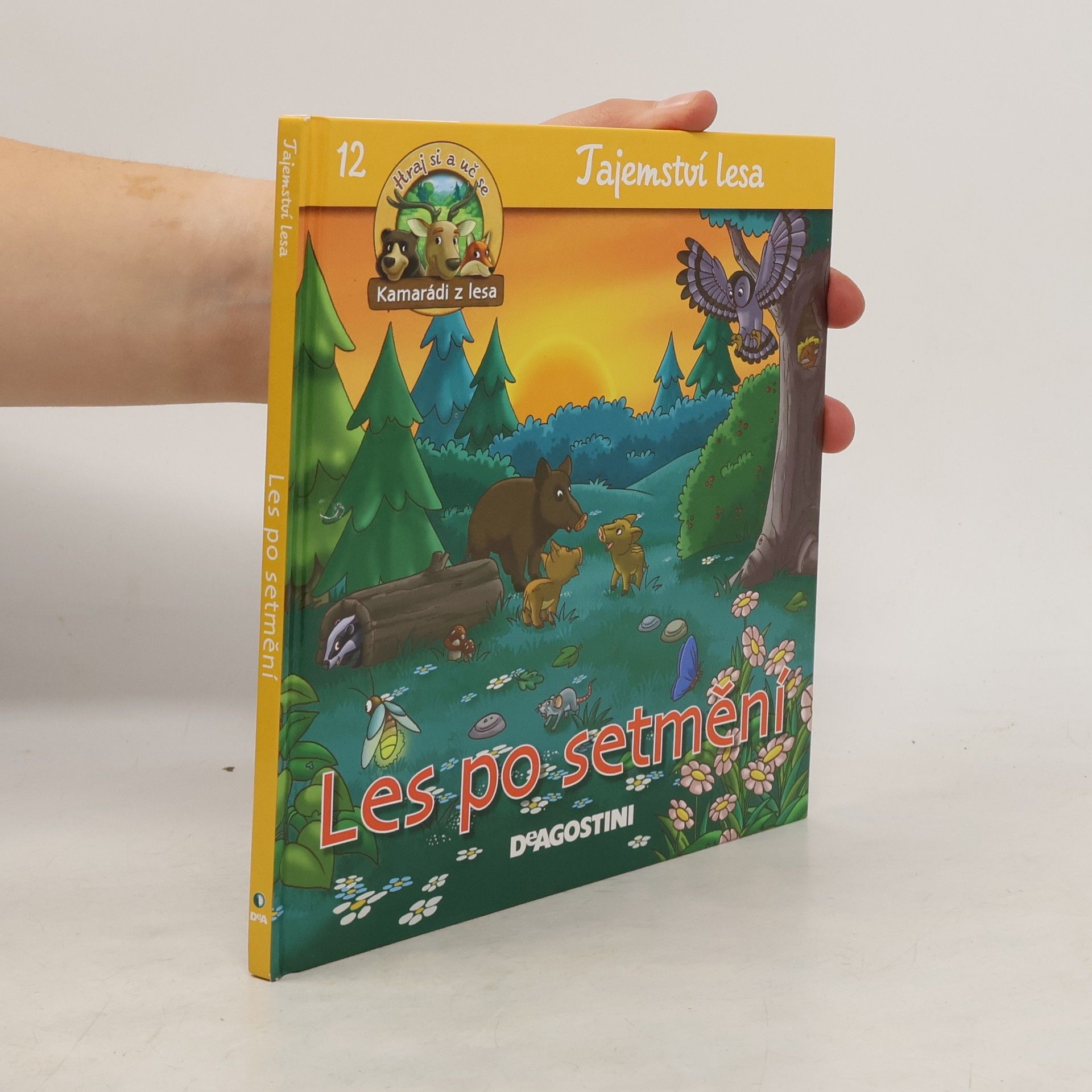 Collectif d'auteurs Tajemství lesa 12. Les po setmění