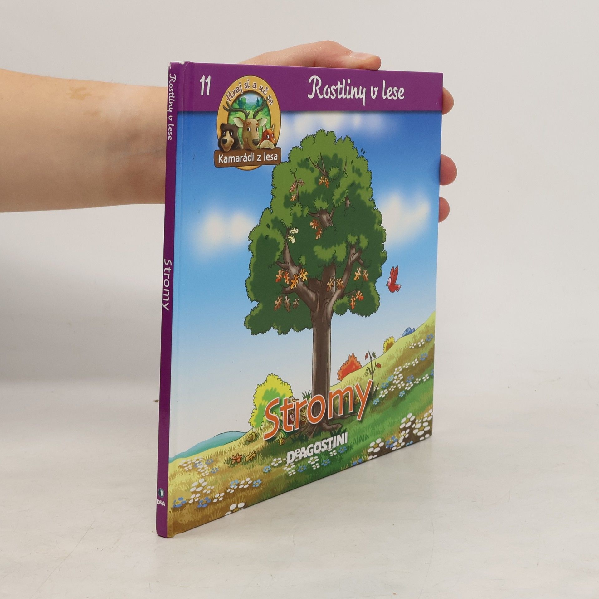 Autorenkollektiv Rostliny v lese 11. Stromy