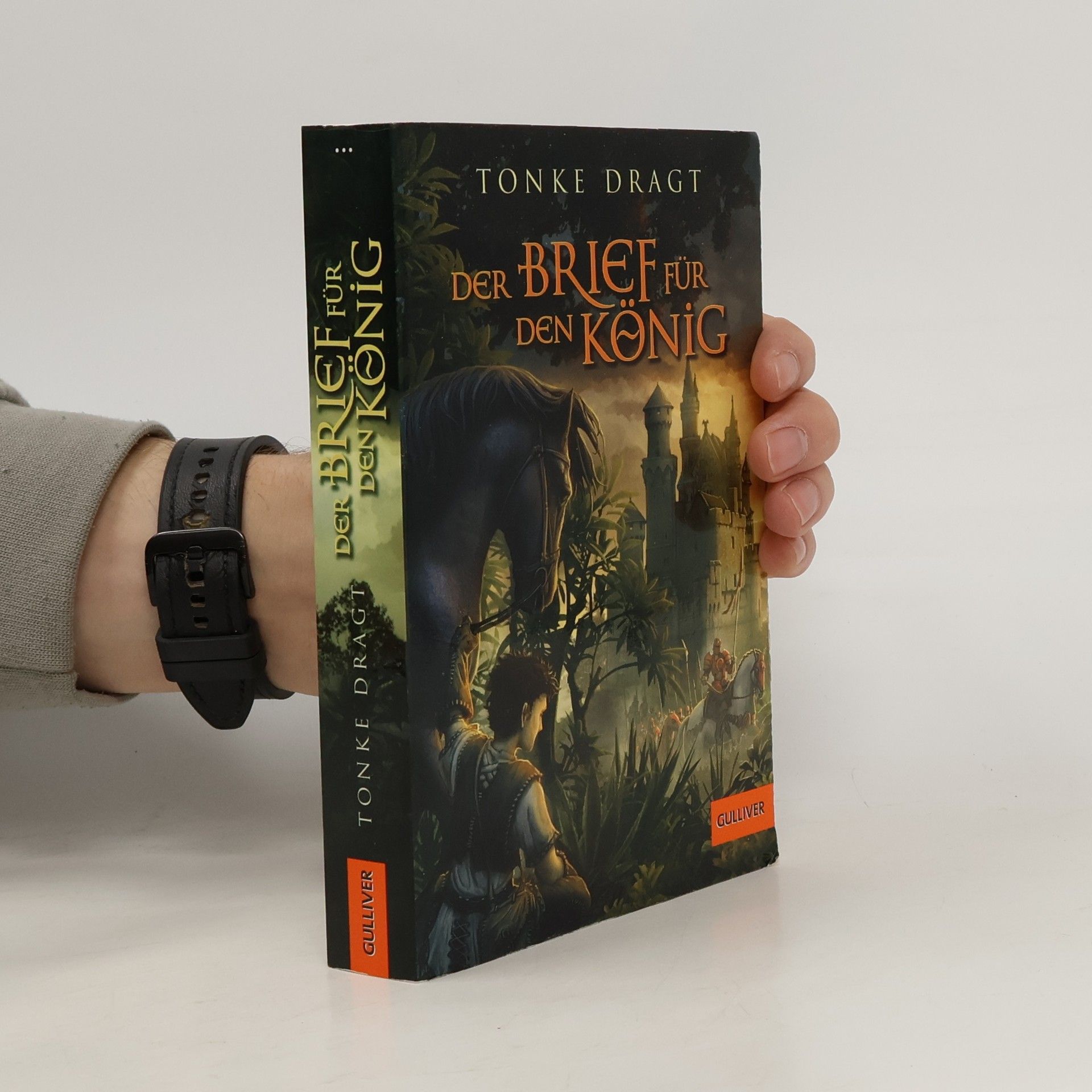 Tonke Dragt Der Brief für den König