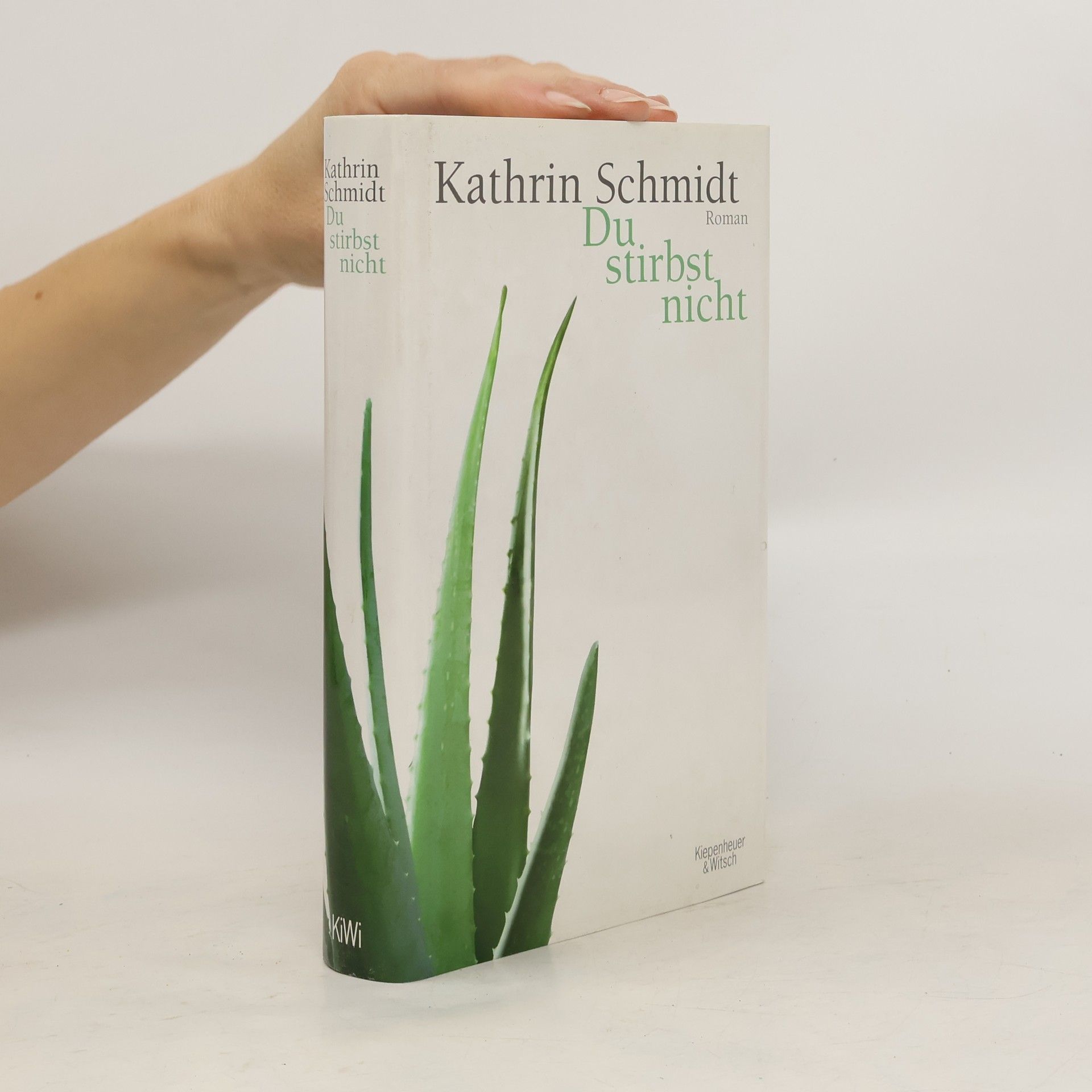 Kathrin Schmidt Du stirbst nicht