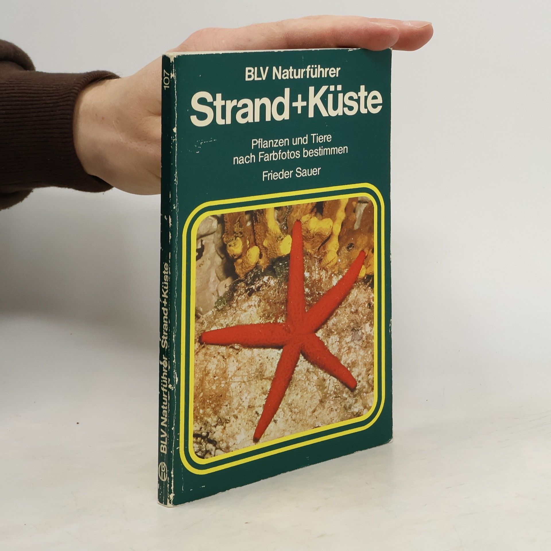 Frieder Sauer Strand + [und] Küste