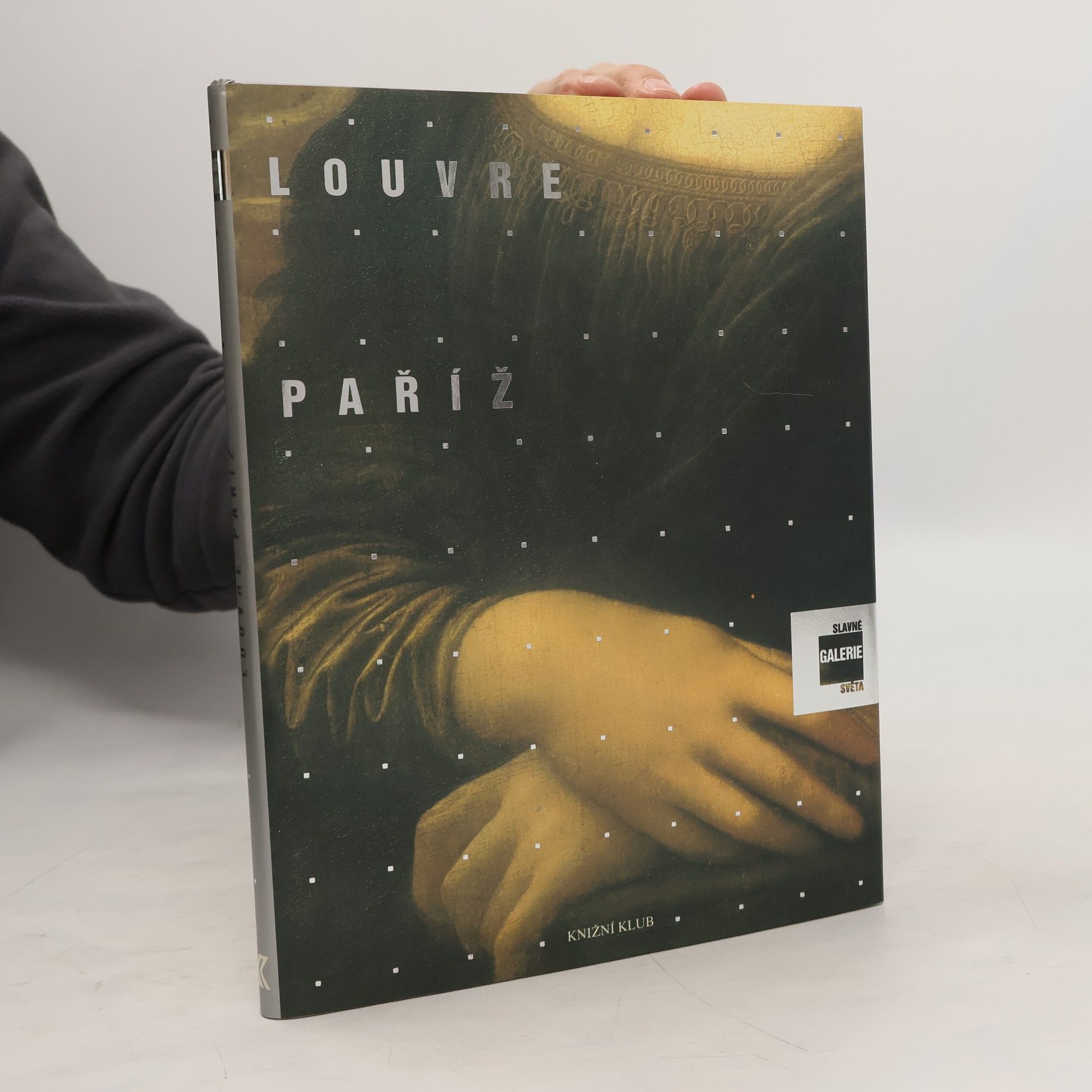 Alessandra Fregolent Slavné galerie světa. Louvre - Paříž