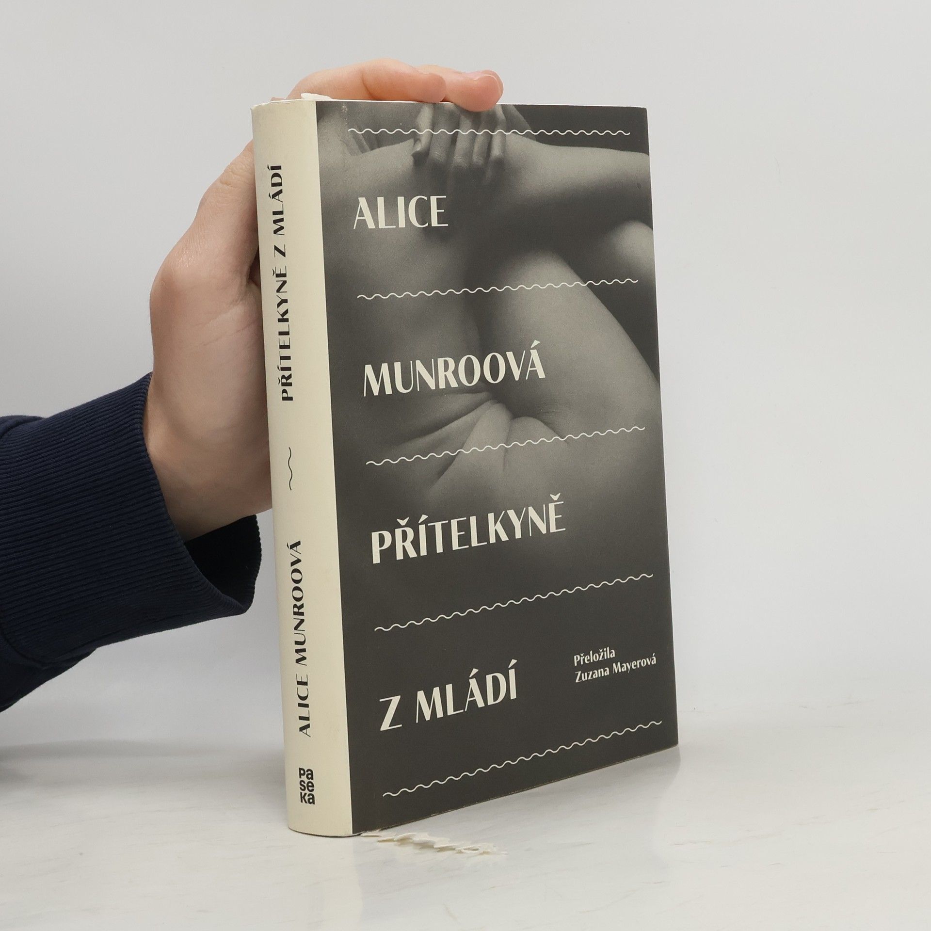 Alice Munro Přítelkyně z mládí