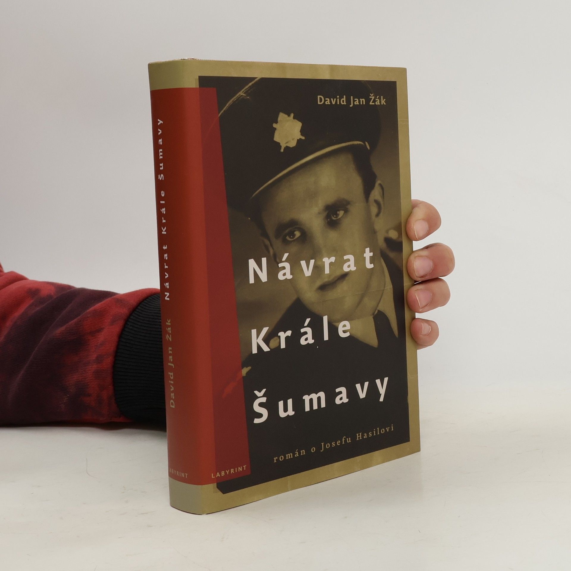 David Jan Žák Návrat Krále Šumavy