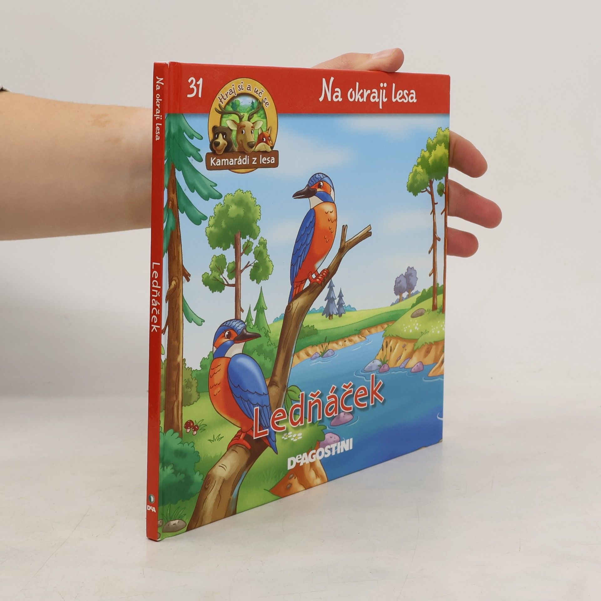 Collectif d'auteurs Ledňáček. Na okraji lesa 31