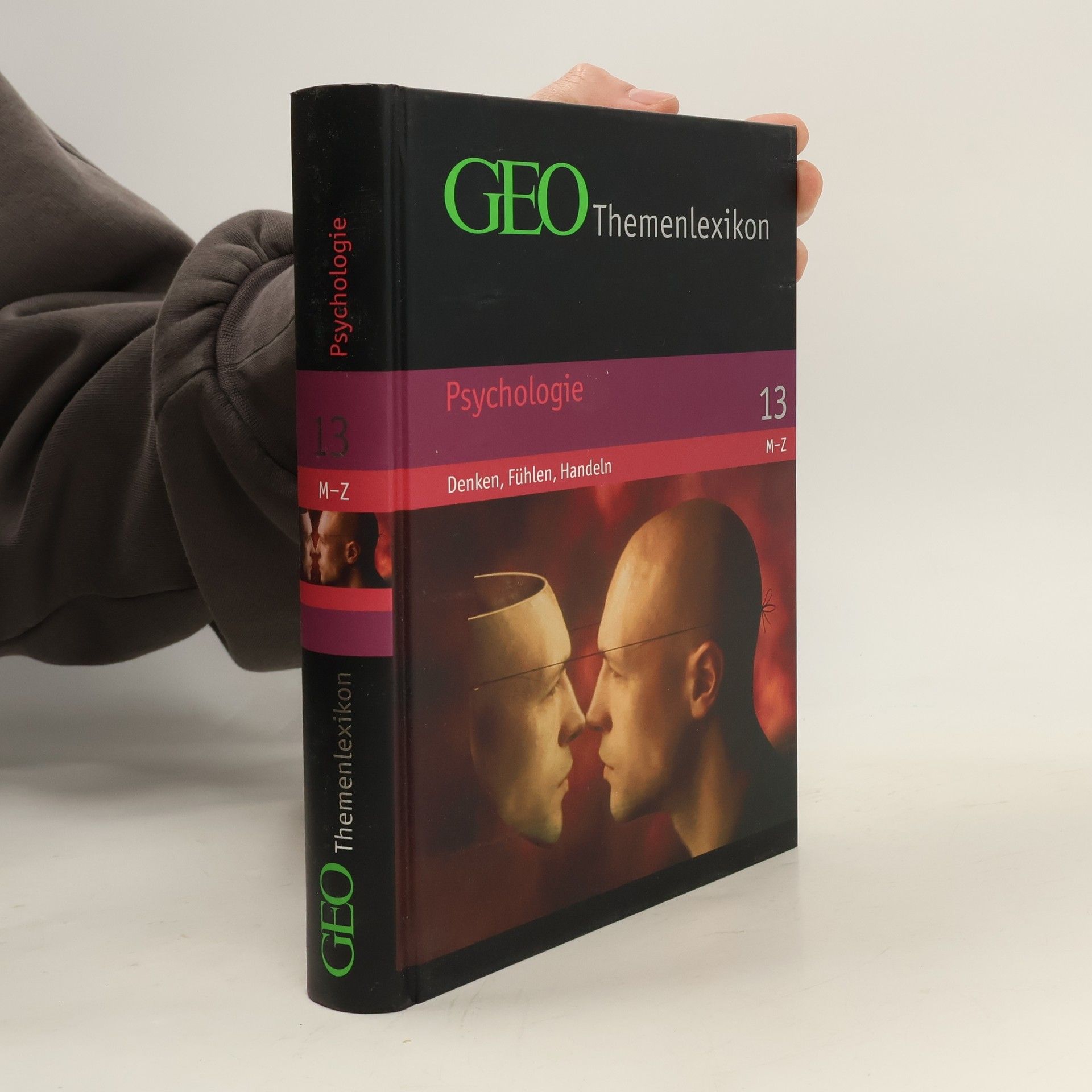 Peter Matthias Gaede Psychologie