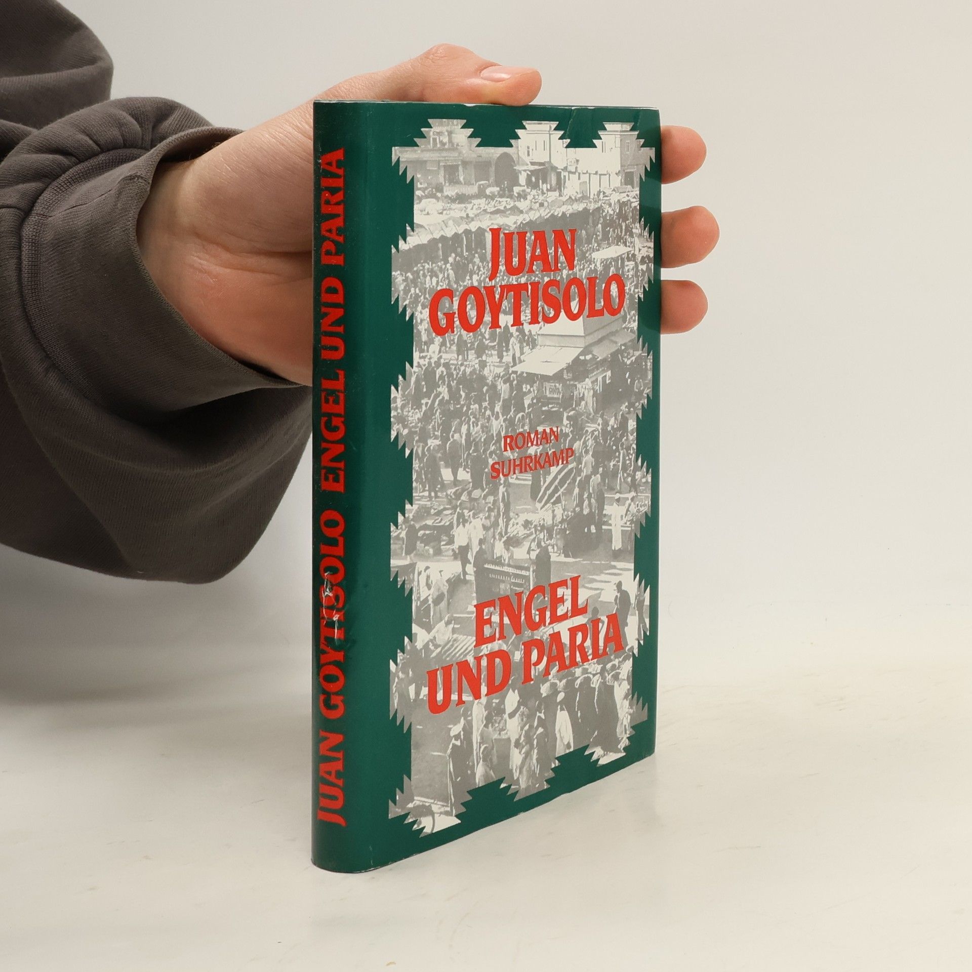 Juan Goytisolo Engel und Paria. Roman