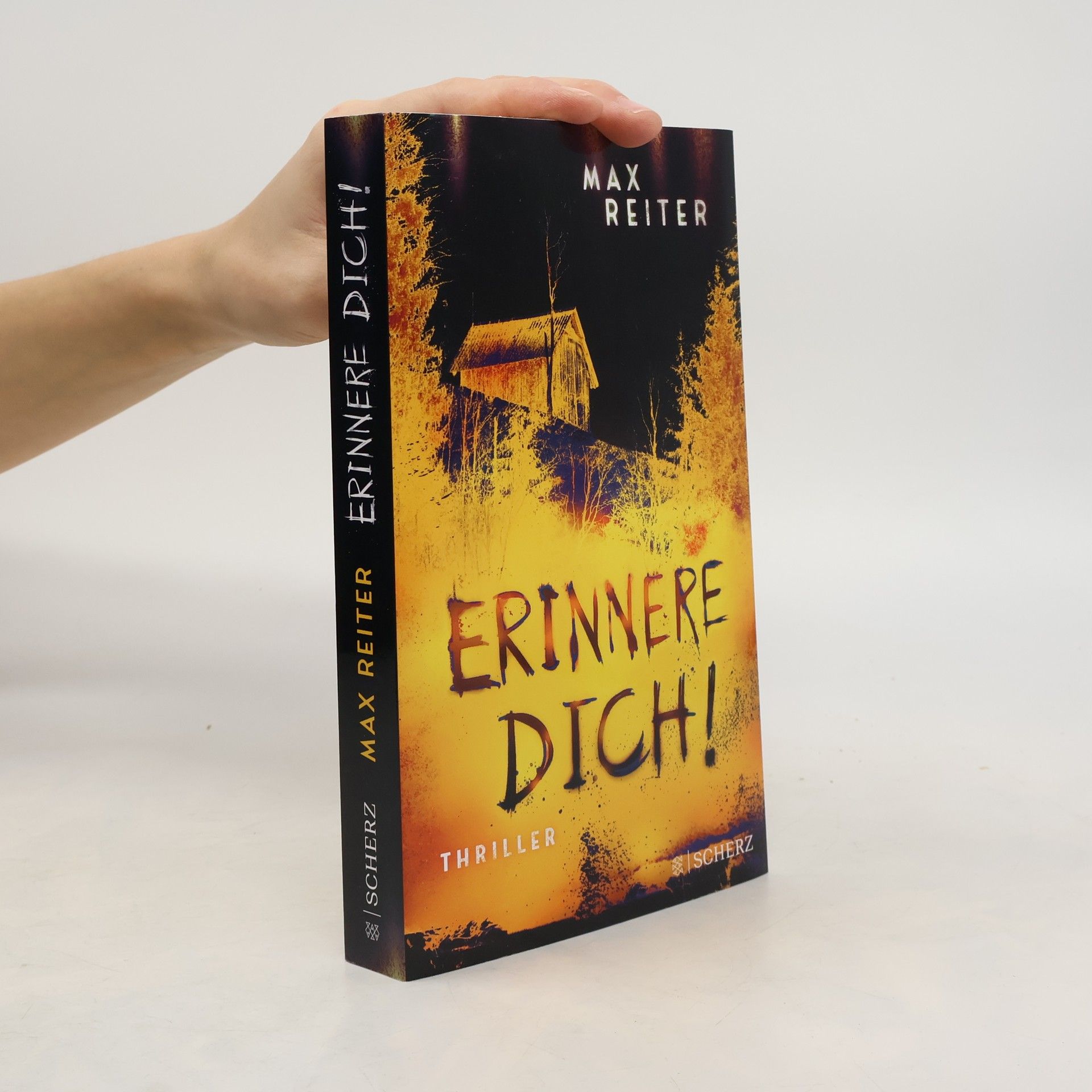 Max Reiter Erinnere dich!