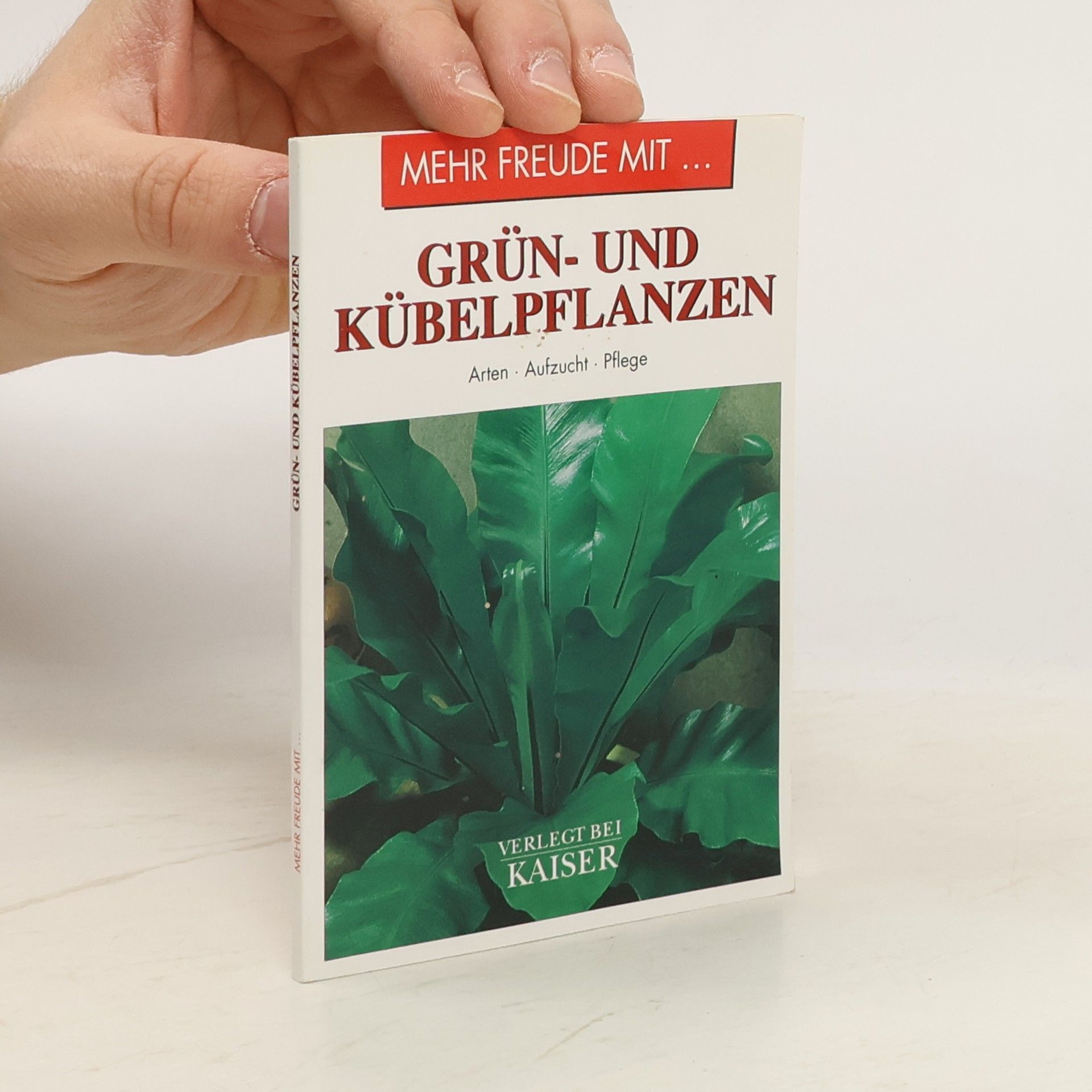 Autorenkollektiv Mehr Freude mit... Grün- und Kübelpflanzen