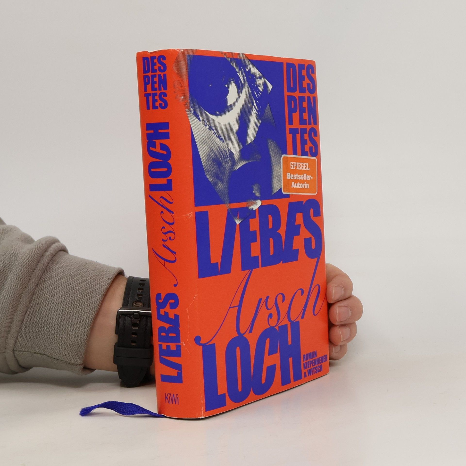 Virginie Despentes Liebes Arschloch