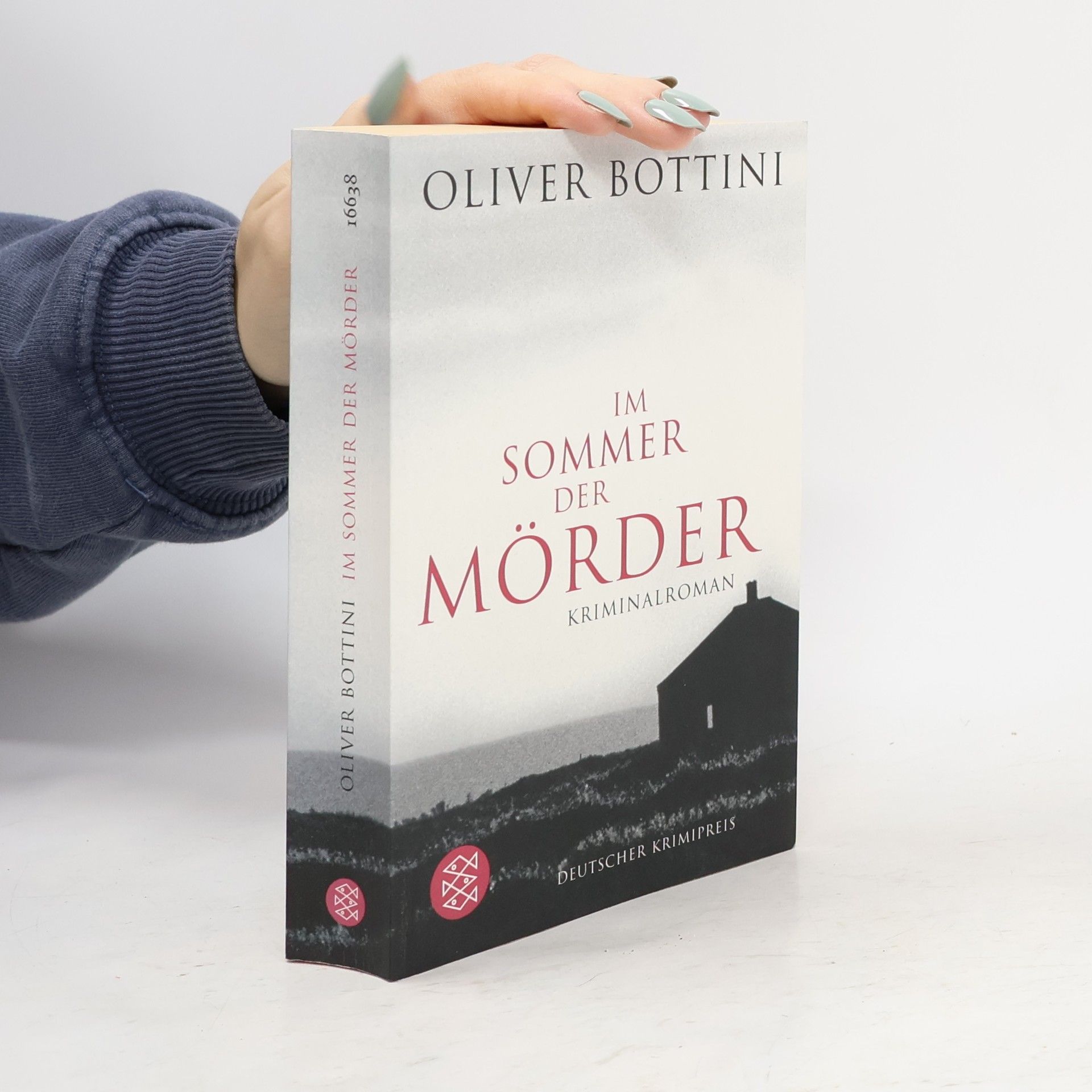 Oliver Bottini Im Sommer der Mörder