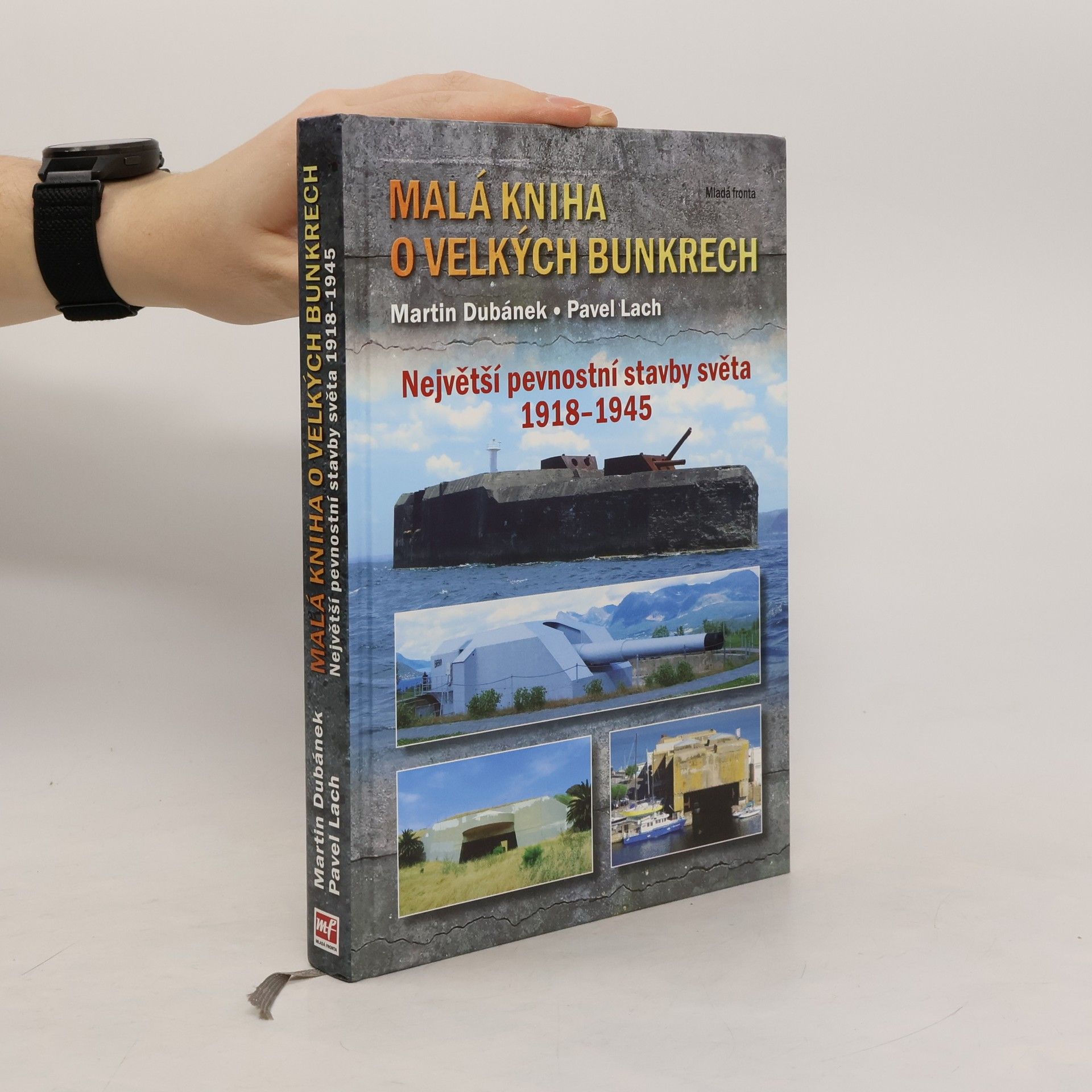 Malá kniha o velkých bunkrech