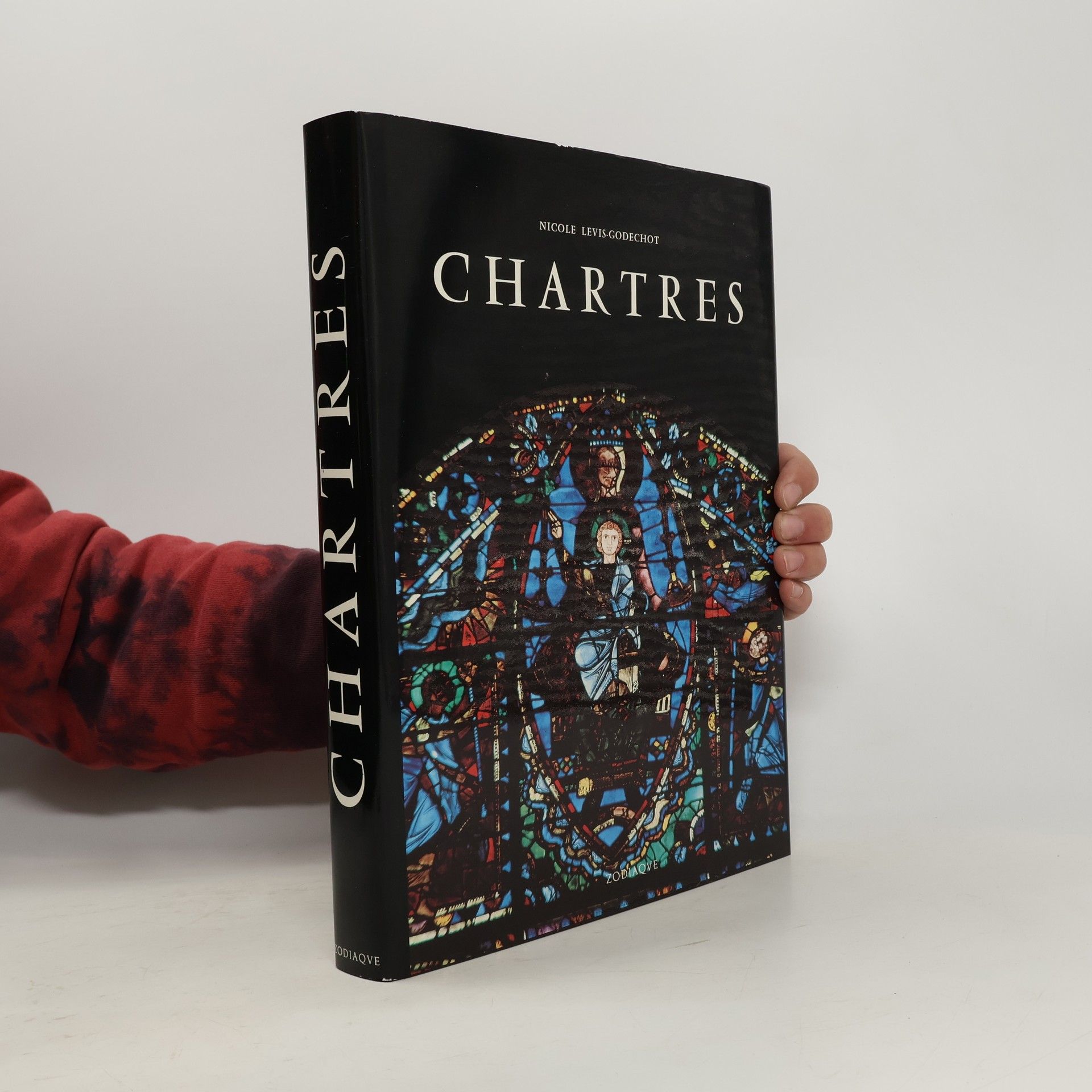 Nicole Lévis-Godechot Chartres im Lichte seiner Skulpturen und Fenster